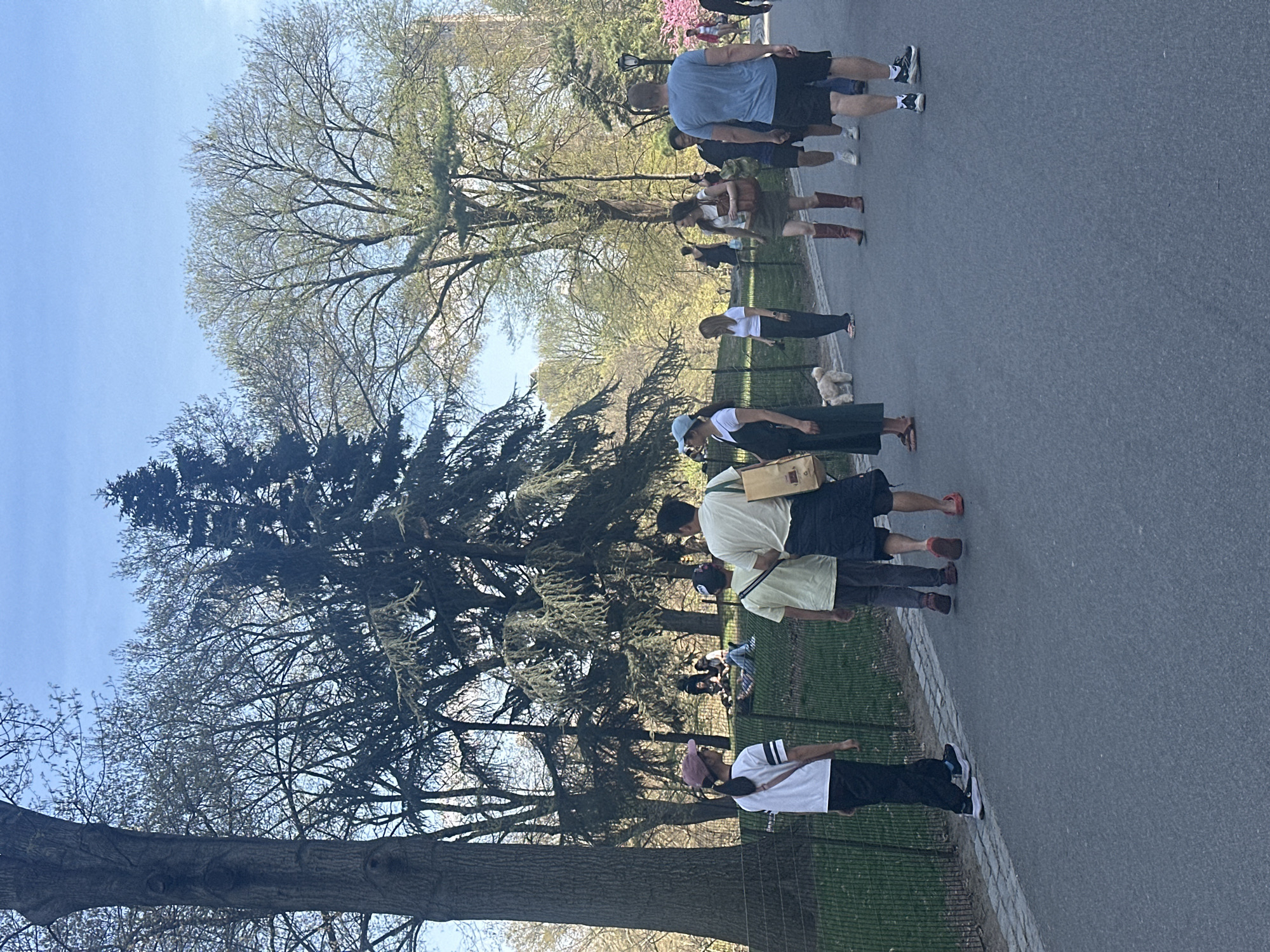 The image shows a paved pathway in Central Park, New York City, with people walking and standing. A tree line with deciduous trees, some with new spring foliage, separates the pathway from the park's interior. Individuals are seen in casual attire, walking in various directions. Some carry items, suggesting a visit to the park. The scene is set on a bright, sunny day, indicated by the clear blue sky.
