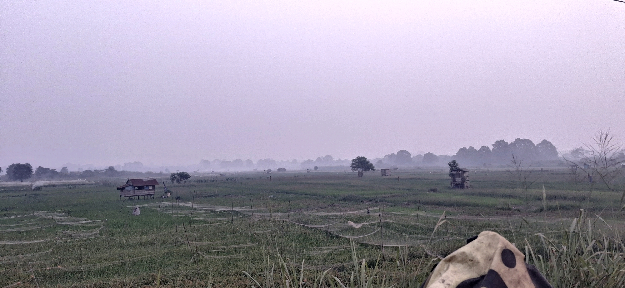 This is a wide-angle, eye-level shot of a misty, rural landscape in Jambi, Indonesia. The scene depicts a rice paddy field stretching into the distance, with several small, dilapidated wooden structures scattered throughout. Numerous thin, white nets are stretched across poles in the foreground, obscuring parts of the field and creating a textured effect. Tall, dry grasses and reeds are visible in the immediate foreground, partially framing the view. In the mid-ground, a person dressed in dark clothing can be seen tending to the field. The sky is a uniform, pale gray, indicating overcast conditions or early morning fog. A treeline of indistinct, silhouetted trees forms the horizon. The overall impression is one of quiet, agricultural life in a hazy, atmospheric environment.