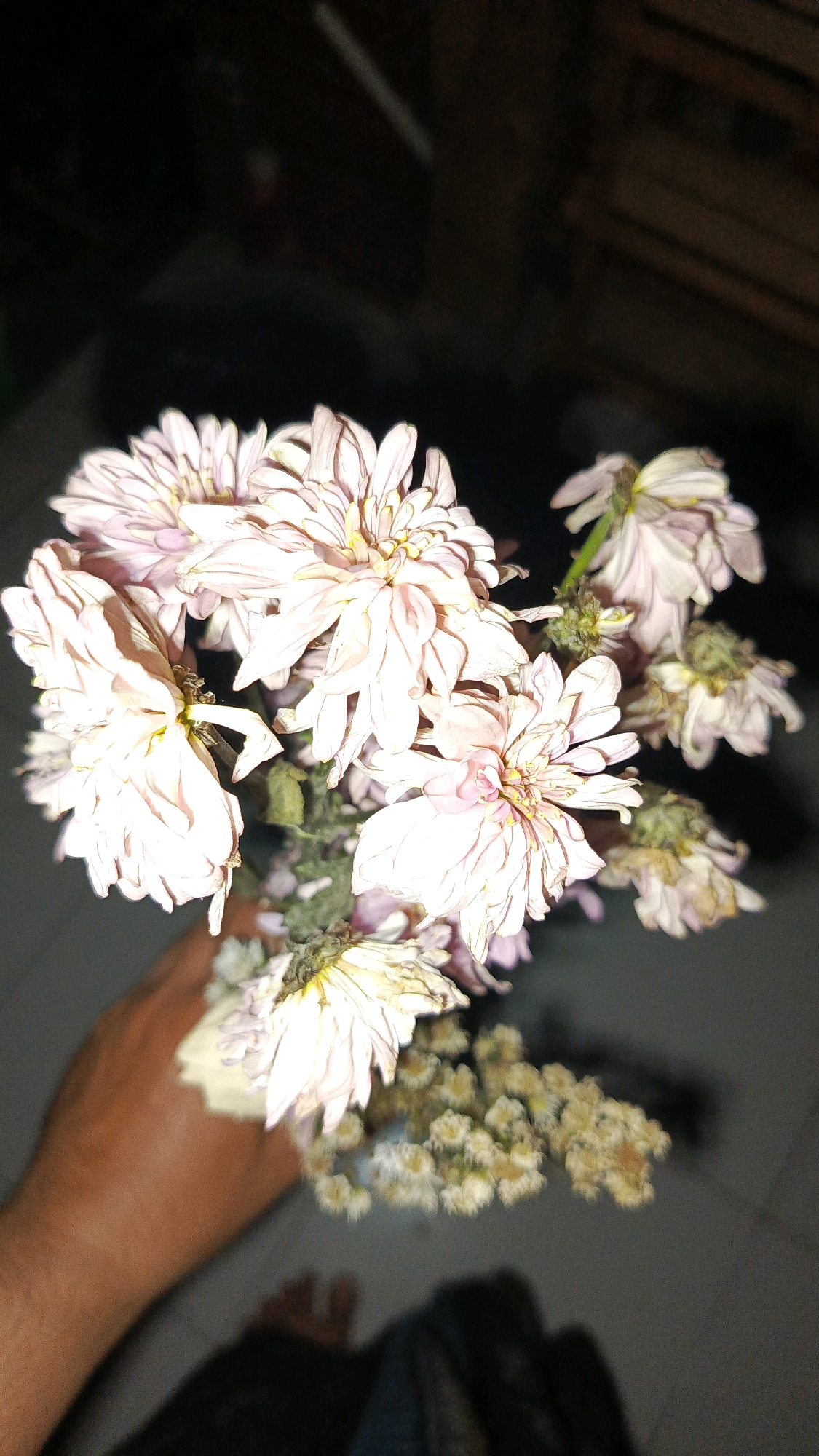 The image shows a close-up, low-angle shot of a bouquet of pale pink chrysanthemums held by a person's hand. The flowers are slightly wilting, with some petals appearing dry and curled. The background is dark and out of focus, suggesting an indoor setting with low lighting. Hints of a person's feet and legs can be seen in the lower part of the image, also out of focus. The hand holding the flowers is visible on the left side of the frame. The overall impression is of a dimly lit, perhaps evening or indoor, scene. There is no specific indication of the location within Babadan, Indonesia.