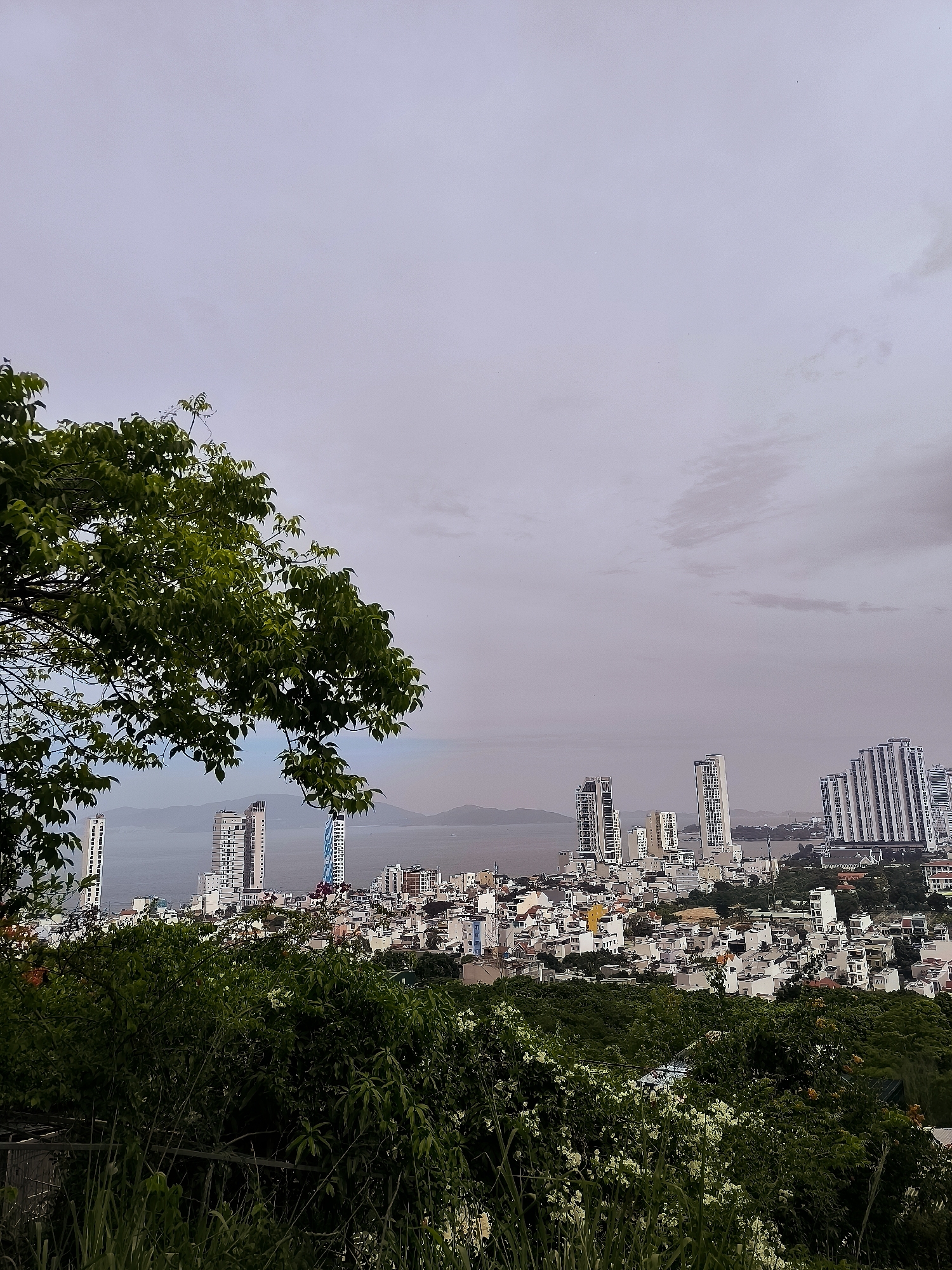 This image presents an elevated view of the coastal city of Nha Trang, Vietnam, under an overcast sky. In the foreground, lush green foliage and a tree branch frame the scene, with a hint of white flowers in the lower right quadrant. The middle ground is dominated by the cityscape, featuring a dense collection of residential buildings and the distinct architecture of several modern high-rise towers, some with blue and white facades. Beyond the city, a body of water, likely the Nha Trang Bay, stretches towards a distant, hazy coastline marked by low-lying hills. The overall atmosphere is subdued, suggesting either early morning, late afternoon, or a cloudy day. No people or specific actions are discernible.
