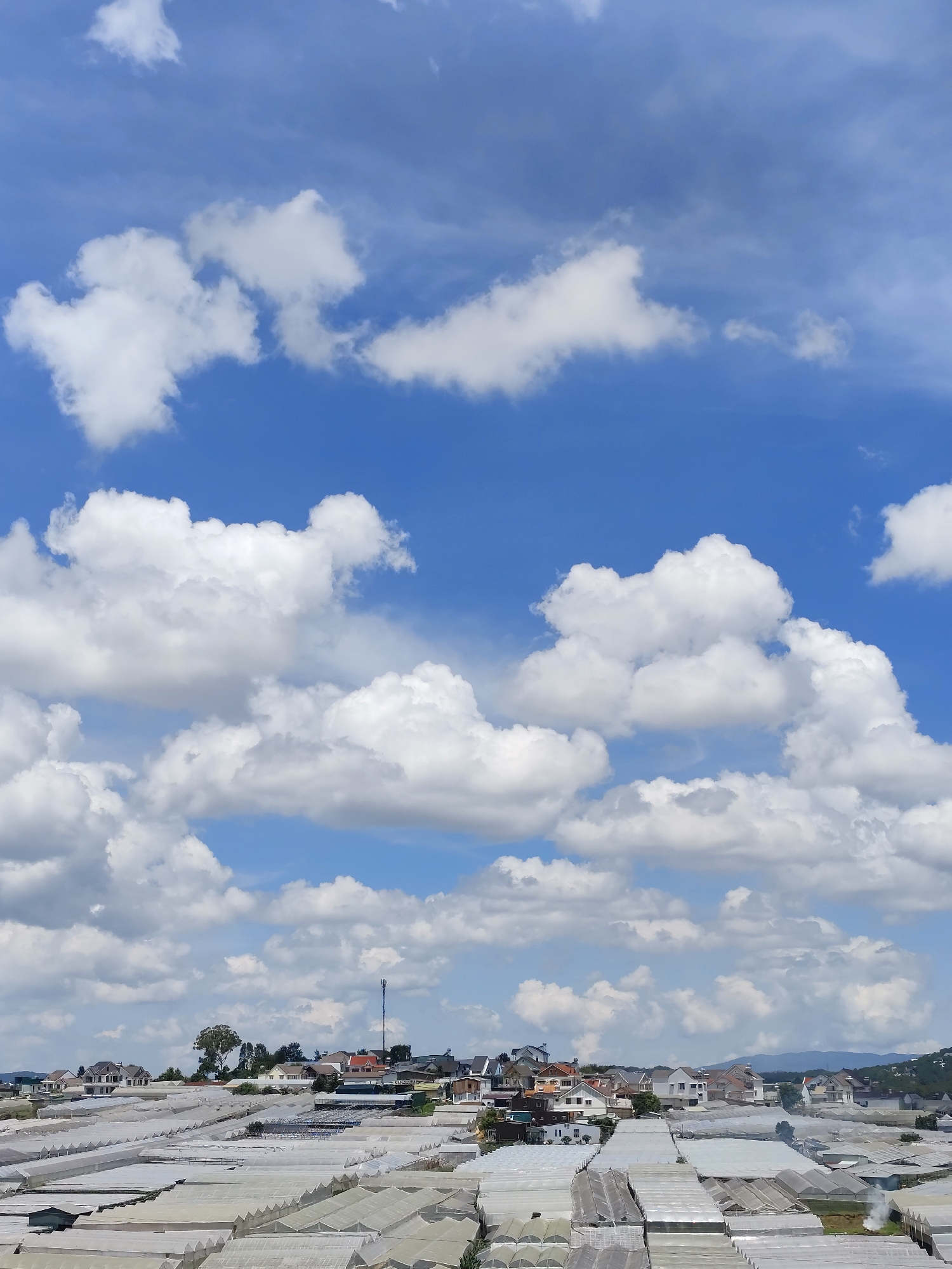 The image depicts a landscape in the Lam Vien - Da Lat area of Vietnam. The foreground is dominated by numerous agricultural greenhouses covered in translucent white material, arranged in neat rows. Behind the greenhouses, a cluster of houses is visible, ranging in size and architectural style. A communication tower stands prominently among the houses. The background consists of rolling hills. The sky is bright blue with numerous white, puffy cumulus clouds.