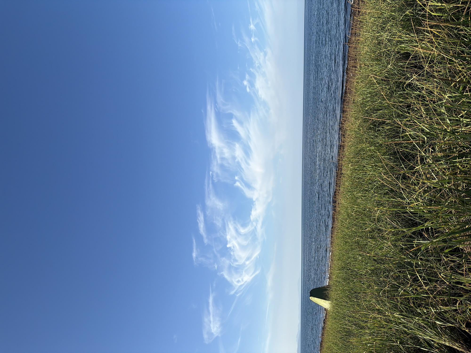The image depicts a serene natural landscape under a vast, clear blue sky with wispy white clouds. In the foreground, tall, green grass dominates the frame, leading towards a dark shoreline. A small, lime-green tent is visible to the left, positioned on the edge of the grass, facing the ocean. The sea is a deep blue, calm, with gentle waves lapping at the shore. In the distance, a faint, low-lying landmass or mountain range is visible on the horizon. The scene appears to be located in a coastal area of Ozerskoe, Russia, characterized by its natural beauty and tranquility.