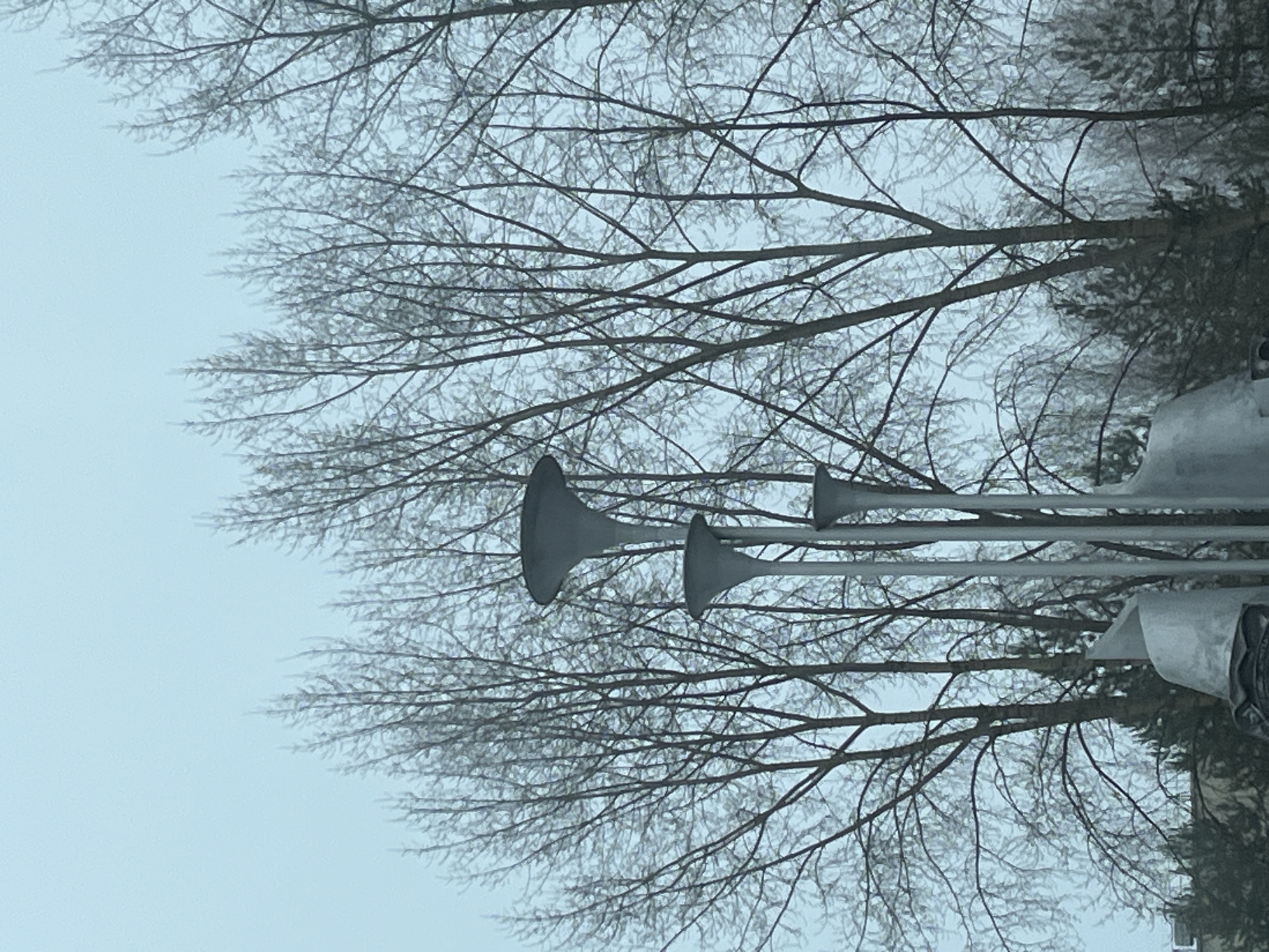 The image depicts a scene in Chaikovsky, Russia, with bare tree branches in the foreground and a series of loudspeakers mounted on poles. The sky is overcast, suggesting a cold or wintery day. The tree branches are intricate and silhouetted against the pale sky, and some appear to have a light coating of ice. The loudspeakers are arranged horizontally, with the wide, funnel-shaped openings facing to the left. They are evenly spaced and extend toward the right of the frame. The presence of loudspeakers indicates an outdoor public address system, possibly for broadcasting announcements or playing music.