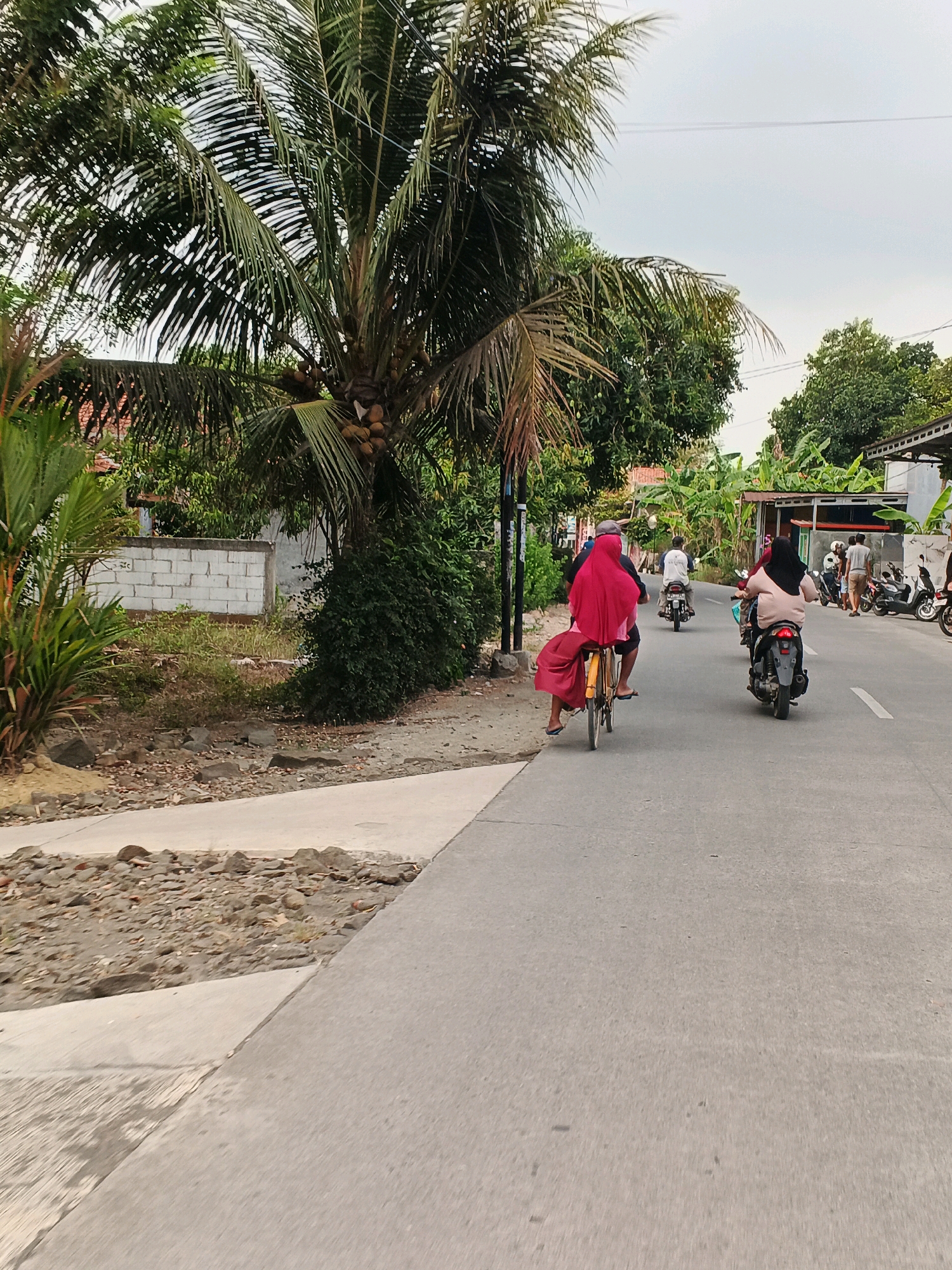 The image depicts a street scene in an outdoor, likely tropical, environment. In the foreground, a paved road runs diagonally from the bottom right to the middle left of the frame. To the left of the road, there is a gravelly area with some rocks and debris, bordered by a concrete edge. Beyond this, a white brick wall stands partially obscured by lush green vegetation, including palm trees and dense bushes. A tall palm tree with coconuts is prominently featured on the left side of the image, with its fronds extending across the upper portion of the scene. The sky is overcast with a pale, light gray hue.
Further down the road, several people are visible. A person on a yellow bicycle, wearing a bright red headscarf and a long red cloth draped over their back, is heading away from the viewer. To the right of the cyclist, a person on a scooter also travels in the same direction, wearing a black headscarf and a light brown top. Another person on a scooter is further ahead, wearing a white shirt. In the background, on the right side of the road, there are buildings with corrugated metal roofs and a group of people standing near parked motorcycles. The overall impression is a snapshot of daily life on a street in a warm climate, with various modes of transportation and surrounding greenery.