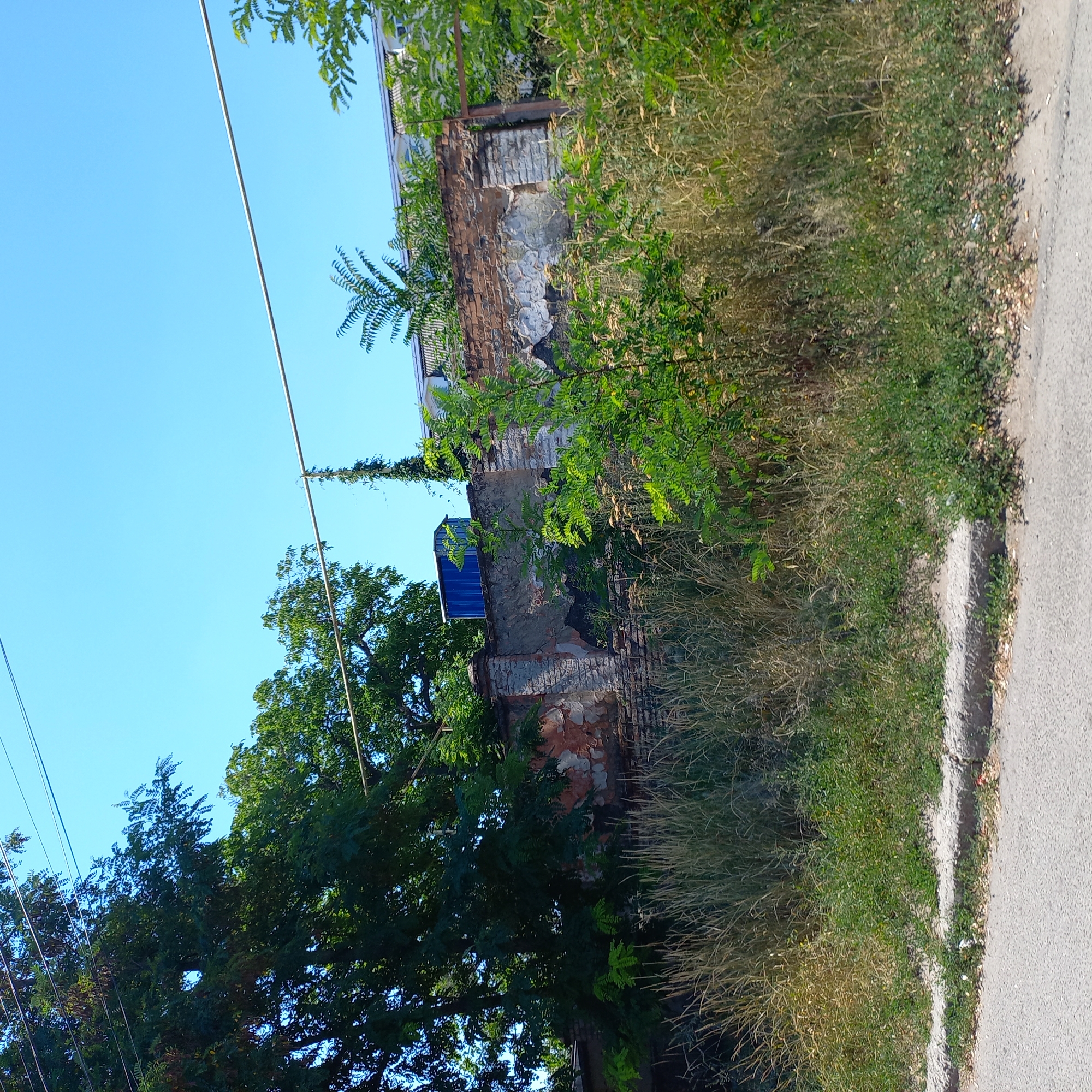 The image depicts a section of an old, partially dilapidated brick wall in Kropyvnytskyi, Ukraine, under a clear blue sky. Tall green trees with dense foliage dominate the left side of the frame, casting shadows. The wall itself is constructed from weathered bricks, with patches of crumbling plaster revealing the underlying structure. Green vegetation, including tall grasses and leafy bushes, grows around and on top of the wall, partially obscuring it. A bright blue container is visible on top of the wall. In the background, a building with a sloped roof and white siding is partially visible behind the vegetation and wall. A thin metal pole runs horizontally across the upper portion of the image, supported by posts. The foreground shows a paved road with a concrete curb, indicating an urban or roadside setting.
