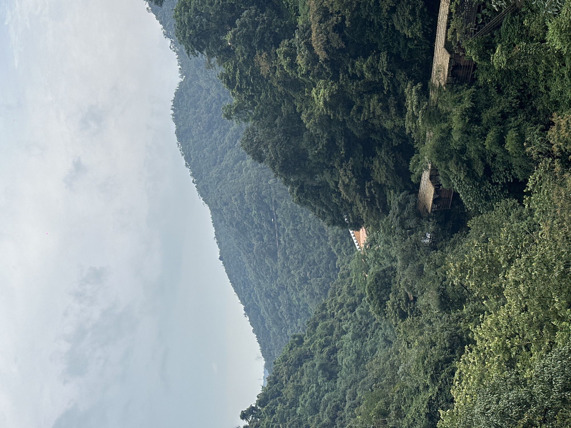 This image depicts a lush, forested mountain valley. The slopes are densely covered with various shades of green foliage, indicating a rich and diverse ecosystem. The sky is overcast with pale grey clouds.
In the middle ground, nestled within the trees, a series of structures with thatched roofs and wooden walls are visible, suggesting a resort or a cluster of rustic dwellings. Some of these structures appear to be elevated, possibly on stilts, and are connected by walkways or bridges, also made of wood. One structure in the background has a lighter colored roof, possibly tile, and its walls are a light brown, contrasting with the surrounding greenery.
The overall impression is of a serene, natural environment with human habitation integrated into the landscape. The scene is dominated by the vibrant greenery of the mountains and the muted tones of the sky, creating a peaceful and secluded atmosphere. The location is likely within or near Qingyuan City, China, known for its natural beauty and mountainous terrain.