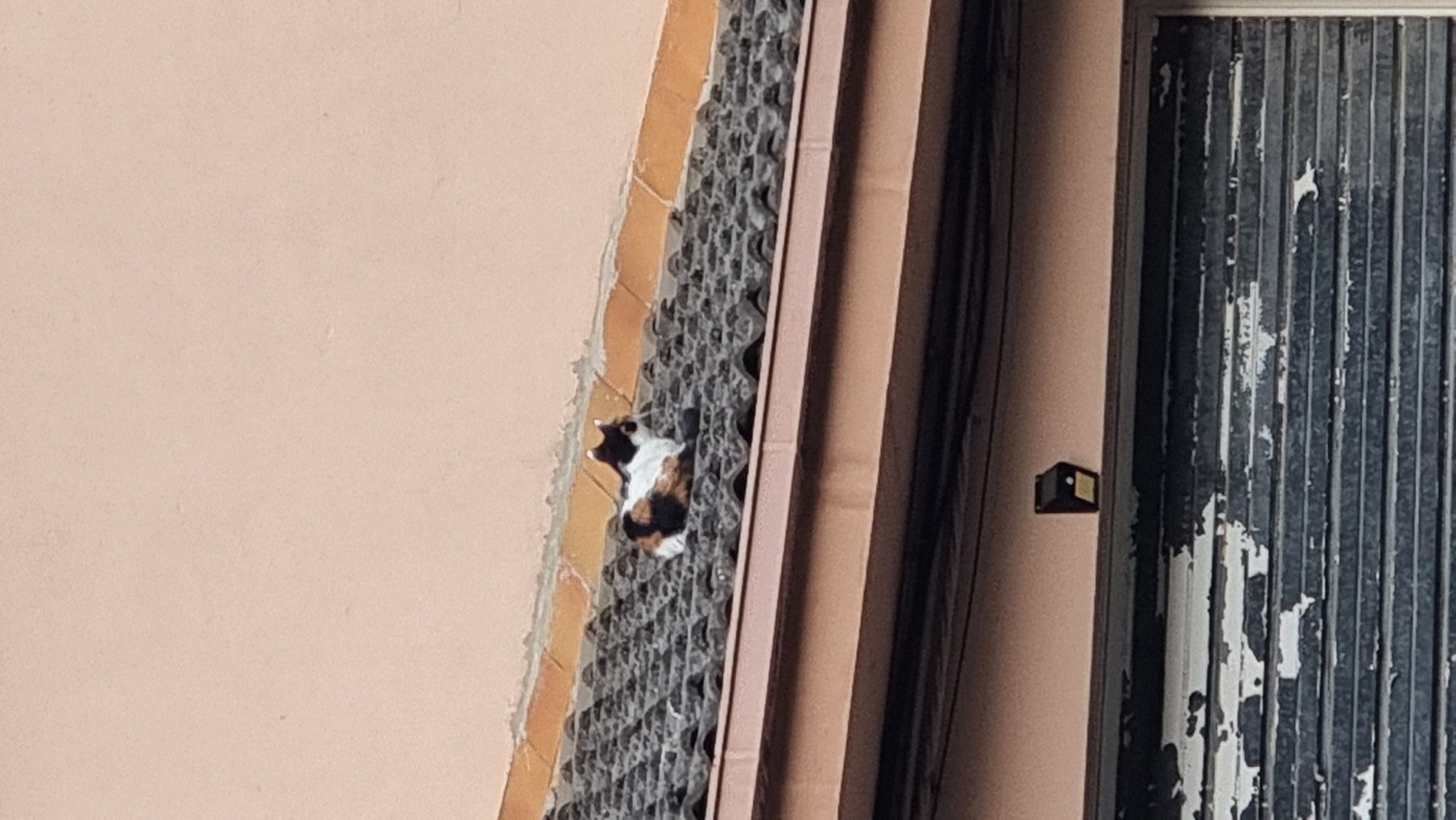 A calico cat with white, black, and orange patches is resting on a dark, tiled roof. The cat is positioned in the upper-middle section of the frame, facing towards the right. The roof tiles are uneven and appear to be weathered. Above the roof, a pale peach-colored wall is visible, with a darker orange trim along the top edge. Below the roof, a section of a light pink wall can be seen, with a dark, weathered roller shutter door at the bottom of the image. A small, black, square-shaped security light with a yellow sensor is mounted on the light pink wall, just above the roller shutter door. The scene appears to be outdoors, possibly in a residential area of Sant Joan les Fonts, Spain.