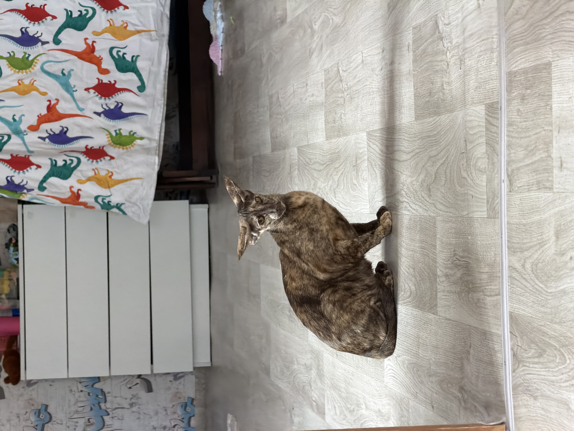 A cat with dark brown and black brindle-like fur is sitting on a light gray floor with a wood grain pattern. A white radiator with vertical panels is visible to the cat's left. Further to the left is a bed with a white dinosaur-patterned bedspread and a dark brown wooden bed frame. The lower left corner of the image shows a partially visible wall with blue decorations. The photo appears to have been taken indoors.
I do not have location information for Chaikovsky, Russia.
