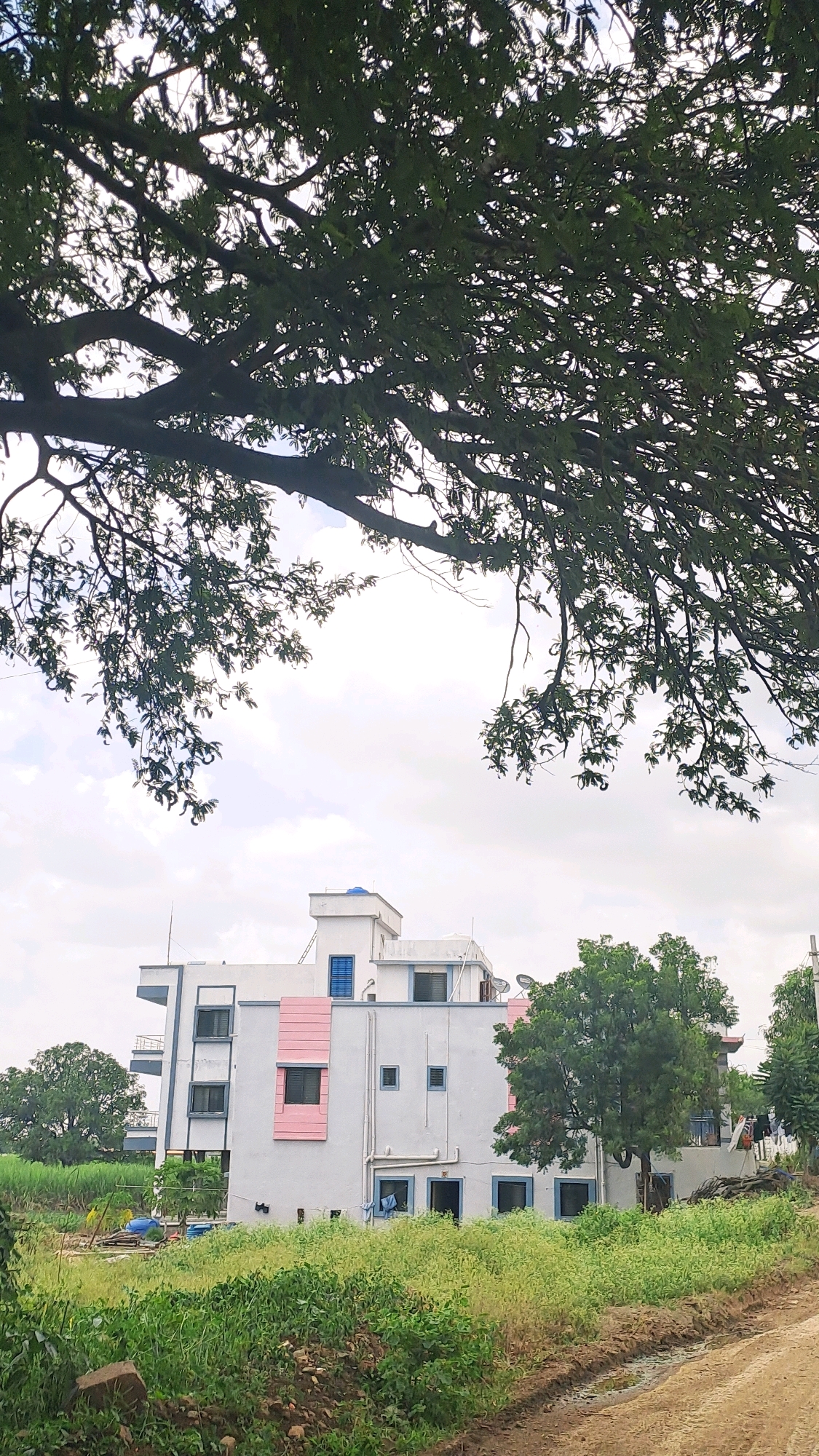 In the city of Supe, India, a multi-story building with a light gray facade and pink accent panels stands against a cloudy sky. The building features blue-framed windows and balconies. In the foreground, lush green vegetation and a dirt path suggest an outdoor environment, possibly a rural or semi-urban setting. A large tree with dark branches and green leaves partially obscures the view of the sky and the top of the building. The scene is static and appears to be a daytime shot.