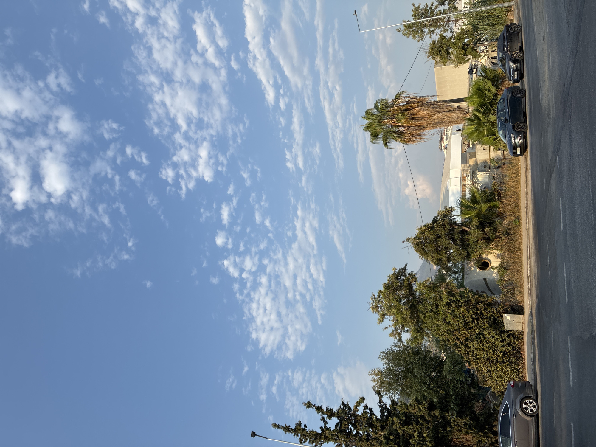 This image captures a street scene in Alanya, Turkey, under a bright blue sky with scattered white clouds. The foreground shows a two-lane asphalt road with white lane markings. On the right side of the road, two dark-colored sedans are parked, one slightly ahead of the other. A grey sedan is seen parked on the left side of the road, facing away from the camera.
Behind the road, a row of trees and vegetation lines the area. Tall cypress trees stand on the left, and a prominent palm tree with dried fronds is visible towards the center. Various other trees and dense green foliage fill the middle ground. In the background, a large, modern-looking structure with a white roof and exposed scaffolding is under construction or renovation. The overall environment suggests an urban or semi-urban setting in Alanya, with a mix of natural elements and ongoing development.