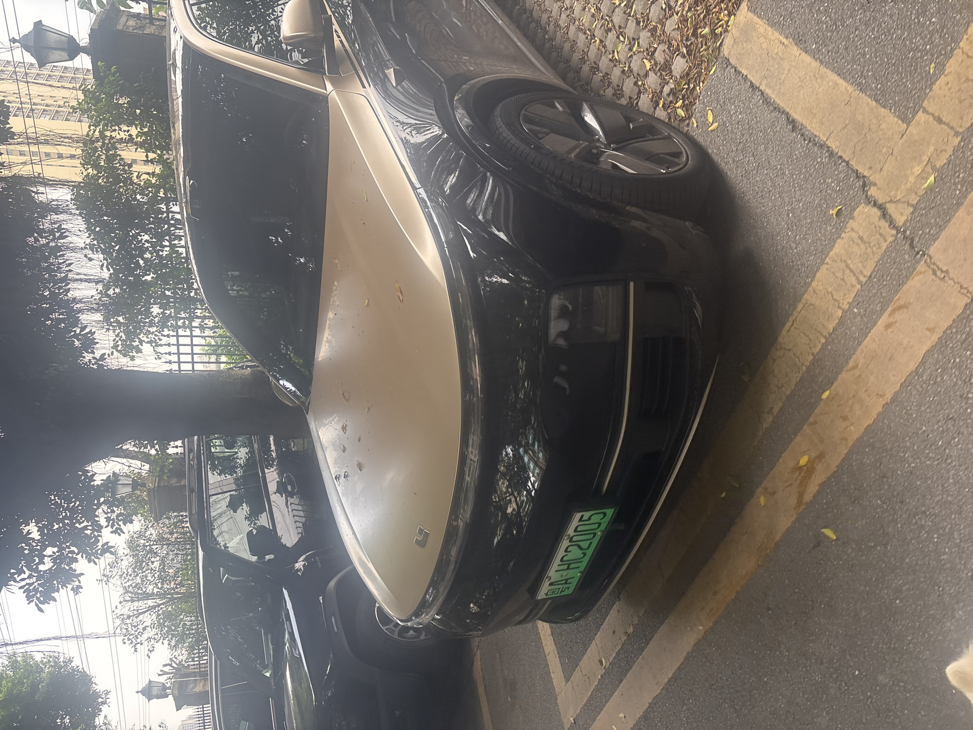 In Nanhai District, China, a black and gold electric car is parked on a paved lot with yellow lane markings. The car has a green license plate that reads "BA HC 2005". In the background, a black SUV is parked, and a tree with hanging vines provides shade. A building and a fence are also visible. The ground is covered with fallen leaves.