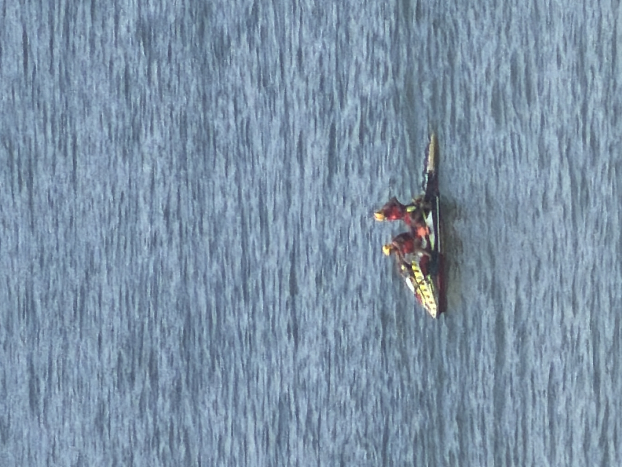 Two individuals, dressed in red and yellow vests, are on a jet ski in the water, approximately 50 meters from the shore of Espinho, Portugal. The jet ski is moving, and the individuals appear to be engaged in a rescue operation or training exercise. The water is calm with small ripples, and the sky is not visible. The scene suggests a maritime safety scenario.