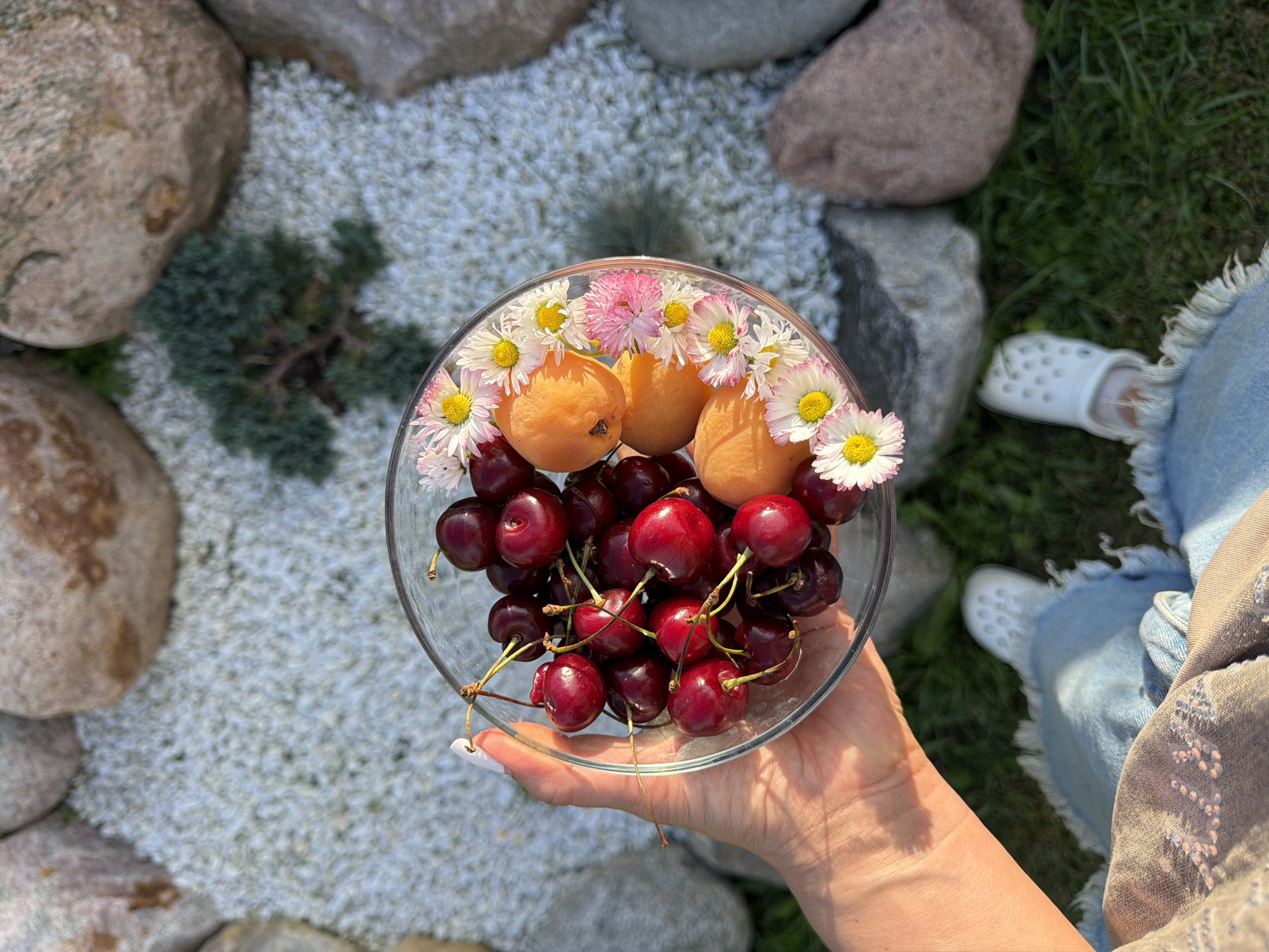 A person's hand holds a clear glass bowl filled with dark red cherries and several apricots, decorated with small daisy-like flowers along the rim. The bowl is set against a backdrop of light-colored gravel and large stones, with patches of green grass visible to the right. The person is wearing denim shorts with frayed edges and a light-colored scarf or shawl draped over their shoulder. A white Croc-style shoe is visible on the grass. The scene appears to be outdoors, bathed in bright sunlight, suggesting a daytime setting. The overall mood is casual and perhaps suggests a picnic or a moment of enjoying fresh fruit. There is no visible text in the image.