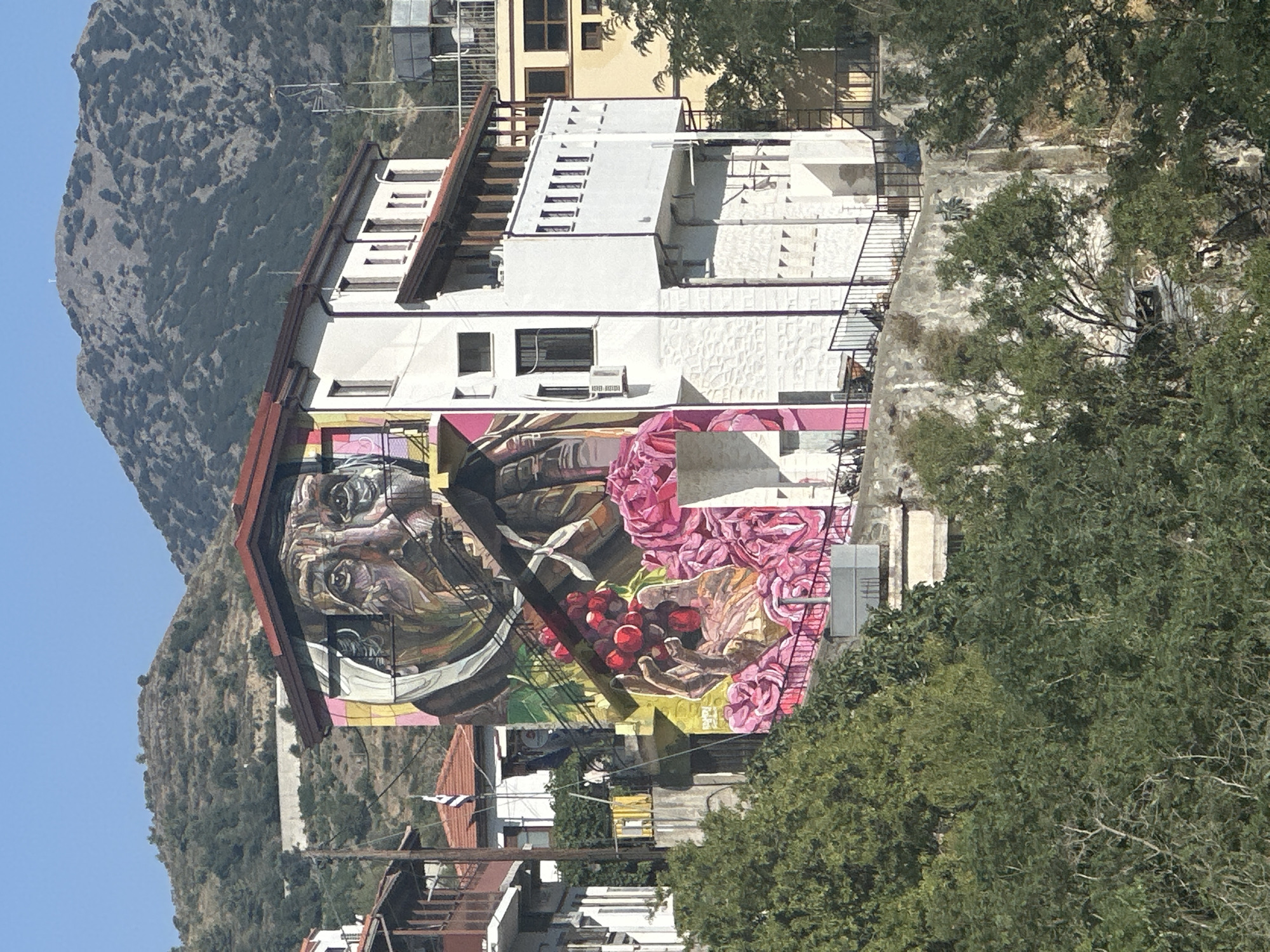 The image shows a mural painted on the side of a building in the city of Agros, Cyprus. The mural depicts a close-up of an elderly person's face, with their hands holding a bunch of red grapes and surrounded by pink roses. The building itself is white with a red roof and has balconies and windows. In the background, there are hills covered in vegetation and other buildings. The sky is clear and blue.