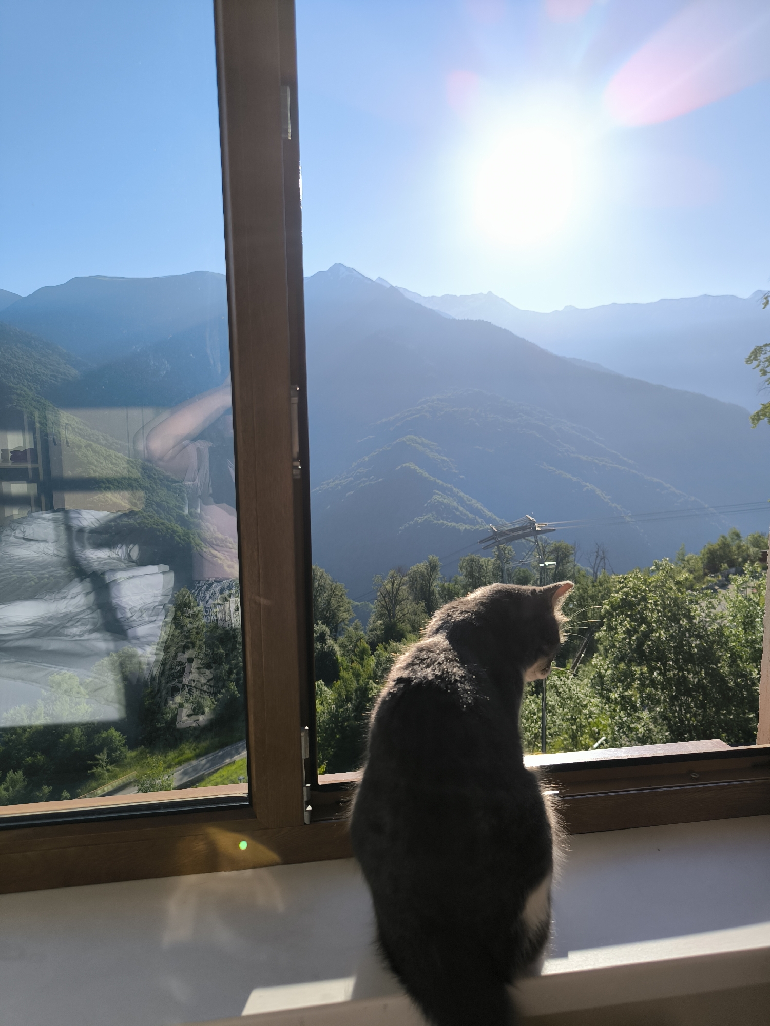 A domestic shorthair cat, predominantly grey with a white patch on its chest and tail, is perched on a white windowsill, facing away from the viewer and towards a scenic mountain vista. The cat's back is illuminated by the bright sun, which is positioned high in the clear blue sky, creating lens flare effects. Through a large window, layers of lush green, tree-covered mountains recede into the distance, with a cable car and its supporting towers visible mid-ground. The reflection in the window shows interior elements, including furniture and a person, partially obscuring the view. The scene appears to be set in a mountainous region of Sochi, Russia, likely at an elevated location overlooking the city and its surrounding natural landscape. The overall impression is one of peaceful observation of nature by a domestic animal.