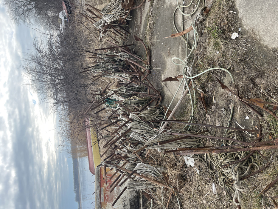 The scene depicts an outdoor waterfront area in Baltiysk, Russia, under an overcast sky. The foreground and midground are dominated by a dense arrangement of numerous rusty, four-fluke grapnel anchors, approximately 20-30 in number. Many of these anchors stand upright or are propped against each other, with coils of white or off-white marine rope attached and draped over them. Additional lengths of rope, some green, are scattered loosely across the ground, which consists of dry grass, bare earth, and sections of stained concrete. To the immediate left, a weathered concrete structure with peeling red and orange paint is visible. Beyond the anchors, a dense thicket of leafless deciduous trees and shrubs extends towards the background. Partially obscured by this vegetation, two small boats, one featuring a red hull and yellow interior, are overturned or pulled ashore near the water's edge. The background reveals a calm, wide body of water, likely an inlet or the Baltic Sea, extending to a distant treeline on the horizon, all beneath a uniform, cloudy sky. Faintly visible through the bare trees on the far right are additional obscured structures or vehicles. No people are present in the image.