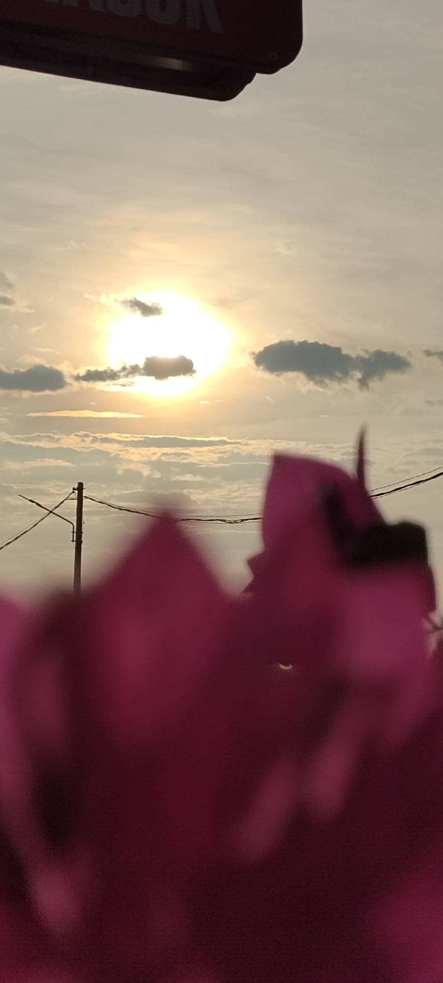 This image, captured in Ranto, Indonesia, depicts a natural scene with some man-made elements. The foreground is dominated by blurred, vibrant pink flowers, creating a soft bokeh effect. Beyond the flowers, the middle ground features a utility pole with electrical wires stretched across, silhouetted against a cloudy sky. The sun is prominently visible in the upper half of the frame, casting a bright glow and partially obscured by clouds. Above the sun, a red sign with white lettering is partially visible, suggesting the presence of a nearby establishment. The overall atmosphere is serene, with the warm light of the sun contributing to a peaceful mood.