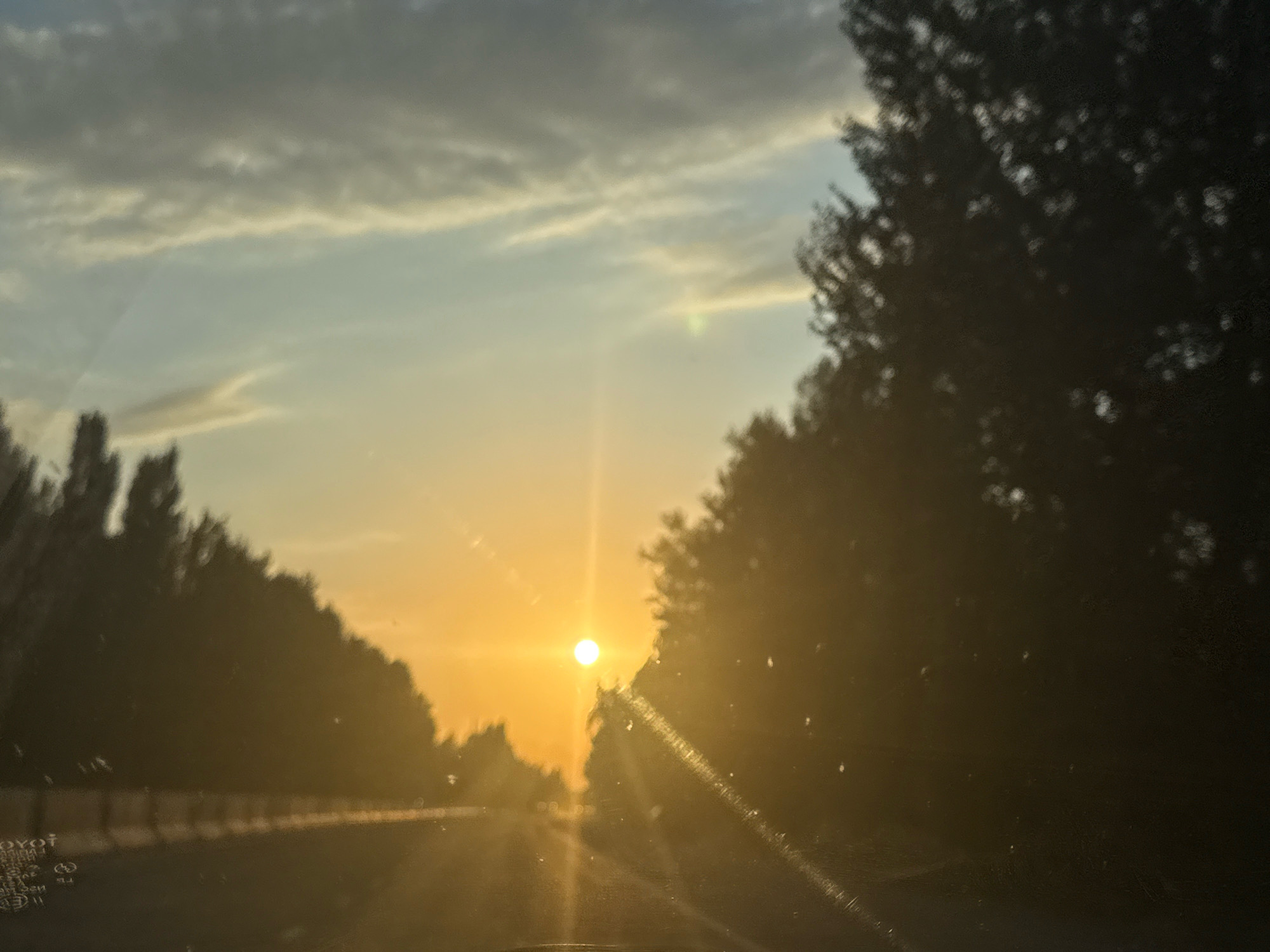 A road is visible in the foreground, with the sun setting behind a line of trees on the right side of the image. The sun is low on the horizon, casting a warm glow over the scene. The sky is a mix of blue and orange, with some clouds. The trees are dark silhouettes against the bright sky. The image appears to have been taken from inside a vehicle, as there are streaks of light that may be from rain on the windshield.