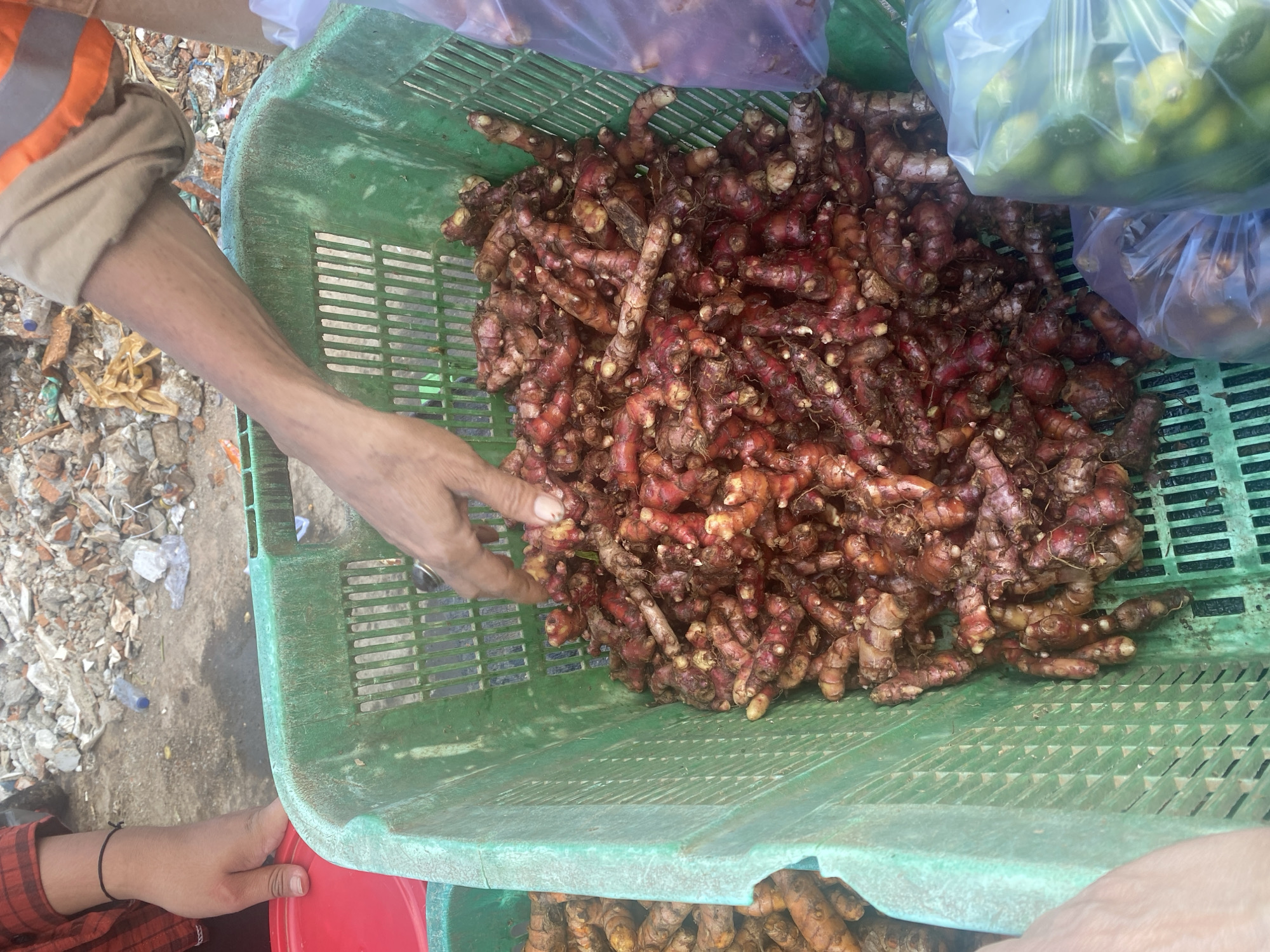 The image depicts a close-up view of two green plastic crates filled with produce, possibly at a local market or collection point in Manado, Indonesia. The crate in the foreground is overflowing with red rhizomes, likely ginger or turmeric, with a hand visible reaching into the crate, suggesting selection or arrangement of the produce. To the left, another crate contains yellow rhizomes, also possibly turmeric. In the background, there is a pile of debris, including rocks, plastic bottles, and other waste materials, which suggests the location might be outdoors and potentially in an area undergoing construction or cleanup, or perhaps adjacent to a waste disposal site. The lighting suggests it is daytime.