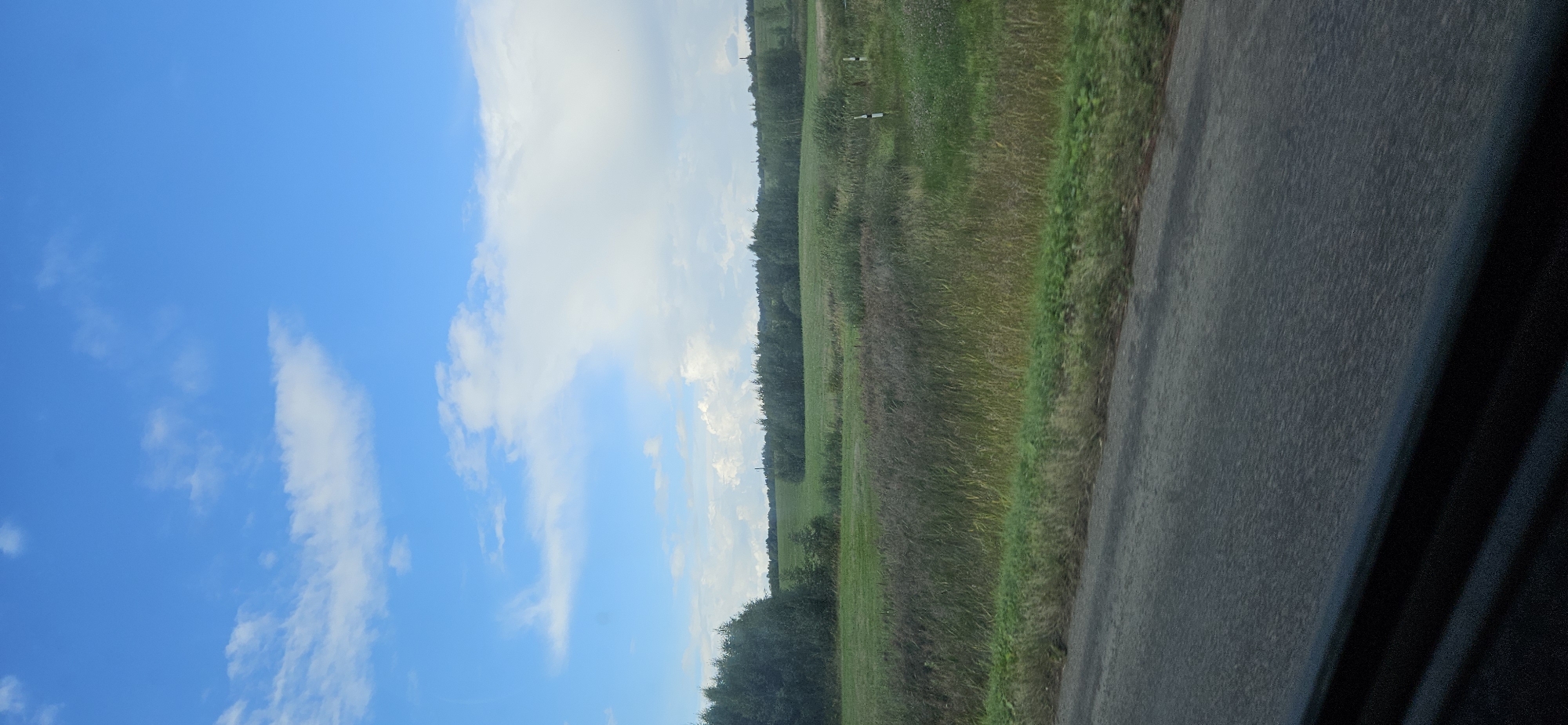 The image captures a rural landscape under a partly cloudy blue sky. In the foreground, a dark asphalt road runs diagonally from the bottom left corner across the frame. To the right of the road, a strip of green grass borders a field. Beyond the grass, a broad expanse of tall, dry grasses in shades of brown and green stretches across the middle ground. In the background, a line of dense green trees forms a treeline along a gentle slope. Further in the distance, more trees and subtle undulations of the land are visible against the horizon. The sky is a vibrant blue, with scattered white cumulus clouds creating a sense of depth and movement. There are no people or specific structures discernible in this outdoor scene, which appears to be a view from a moving vehicle given the perspective and the blurred foreground road. The environment suggests a natural, undeveloped area, likely in a rural part of Варонаўскі сельскі Савет, Belarus, characterized by open fields and wooded areas.