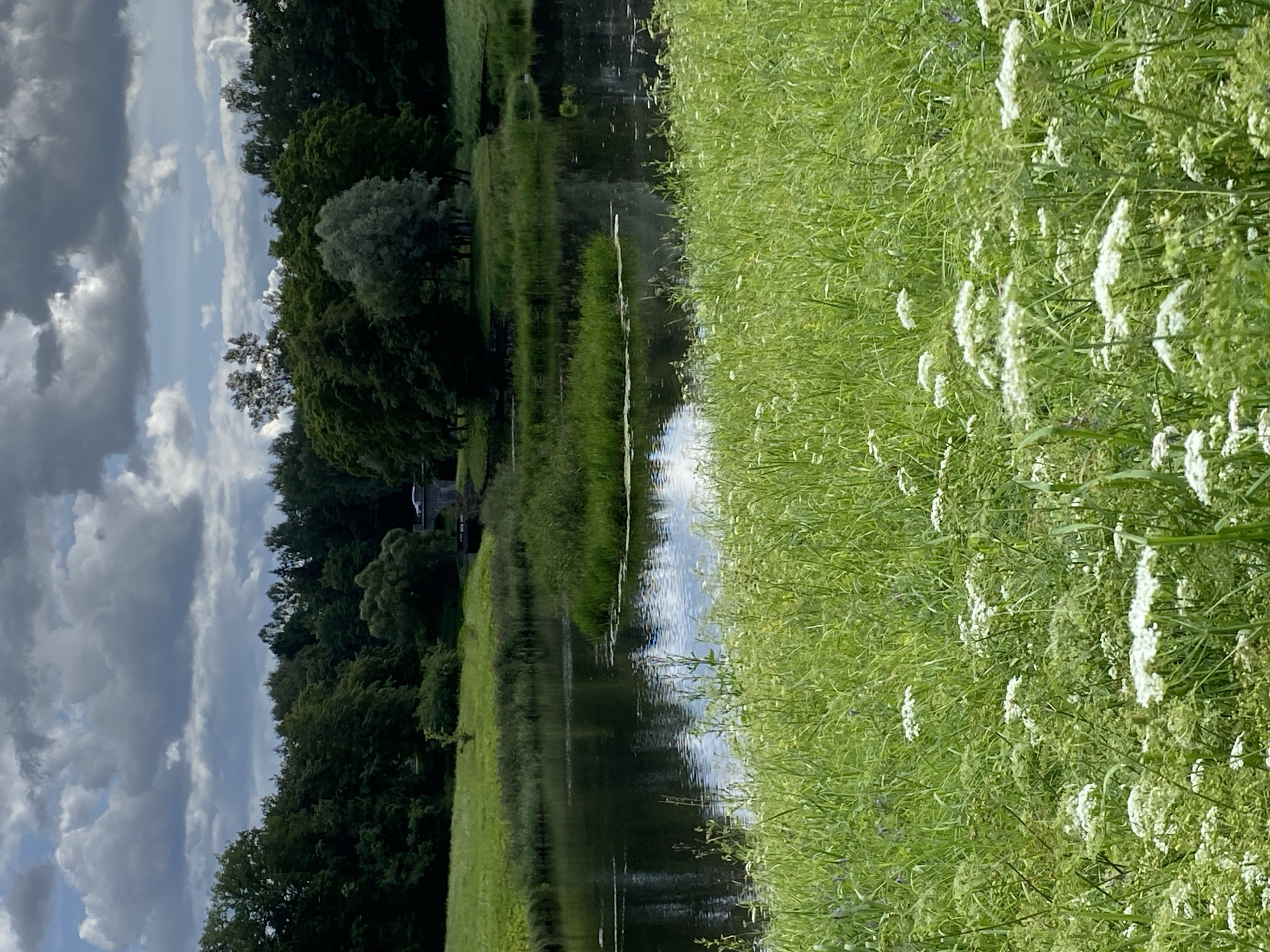 The image captures a serene natural landscape, likely within the city of Pavlovsk, Russia, judging by the distinct architectural style of a bridge and the cultivated appearance of the surrounding parkland. The foreground is dominated by a lush, verdant meadow filled with tall grasses and clusters of small white wildflowers, creating a soft, natural carpet. Beyond this meadow, a calm, dark body of water reflects the sky and surrounding trees. A small, vegetated island sits in the middle of the water.
In the middle ground, a picturesque stone bridge arches gracefully over a waterway, its design suggesting a historical park setting. Dark green trees form a dense backdrop, their foliage lush and varied, indicating a healthy, mature forest. The sky above is dramatic, with large, fluffy grey clouds interspersed with patches of bright blue sky, hinting at a changeable summer day. A single, small structure, possibly a pavilion or a part of the park's infrastructure, is visible just beyond the bridge, nestled amongst the trees. No people are visible in the scene, emphasizing the tranquility and natural beauty of the location. The overall impression is one of peacefulness and natural splendor, characteristic of a well-maintained historical park.