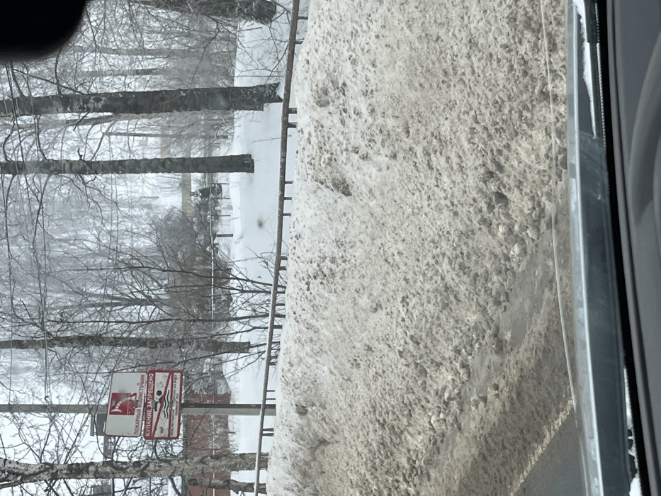 The image displays a winter scene in Belavino, Russia, observed from inside a vehicle. A large, irregular snowdrift, composed of dirty white and brown snow, occupies the foreground and lower midground, partially obscuring the adjacent road surface. Behind the snowdrift, a brown metal fence with vertical pickets runs horizontally across the midground. To the left of the fence, a dark signpost holds two vertically stacked rectangular signs with red borders and white backgrounds. The upper sign features a red fire hydrant symbol and the Cyrillic text "ПОЖАРНЫЙ ВОДОИСТОЧНИК" (FIRE WATER SOURCE). The lower sign displays a red circle with a diagonal line through a swimmer graphic, signifying "КУПАНИЕ ЗАПРЕЩЕНО" (SWIMMING FORBIDDEN) in Cyrillic. Numerous bare deciduous trees, possibly covered in light snow or frost, are visible in the background, extending into the midground. Distant, indistinct structures or buildings are partially discernible through the dense tree line. The sky appears overcast. The very bottom of the frame shows the top of a vehicle's dashboard and the base of its windshield, indicating the viewpoint. No individuals are visible.
