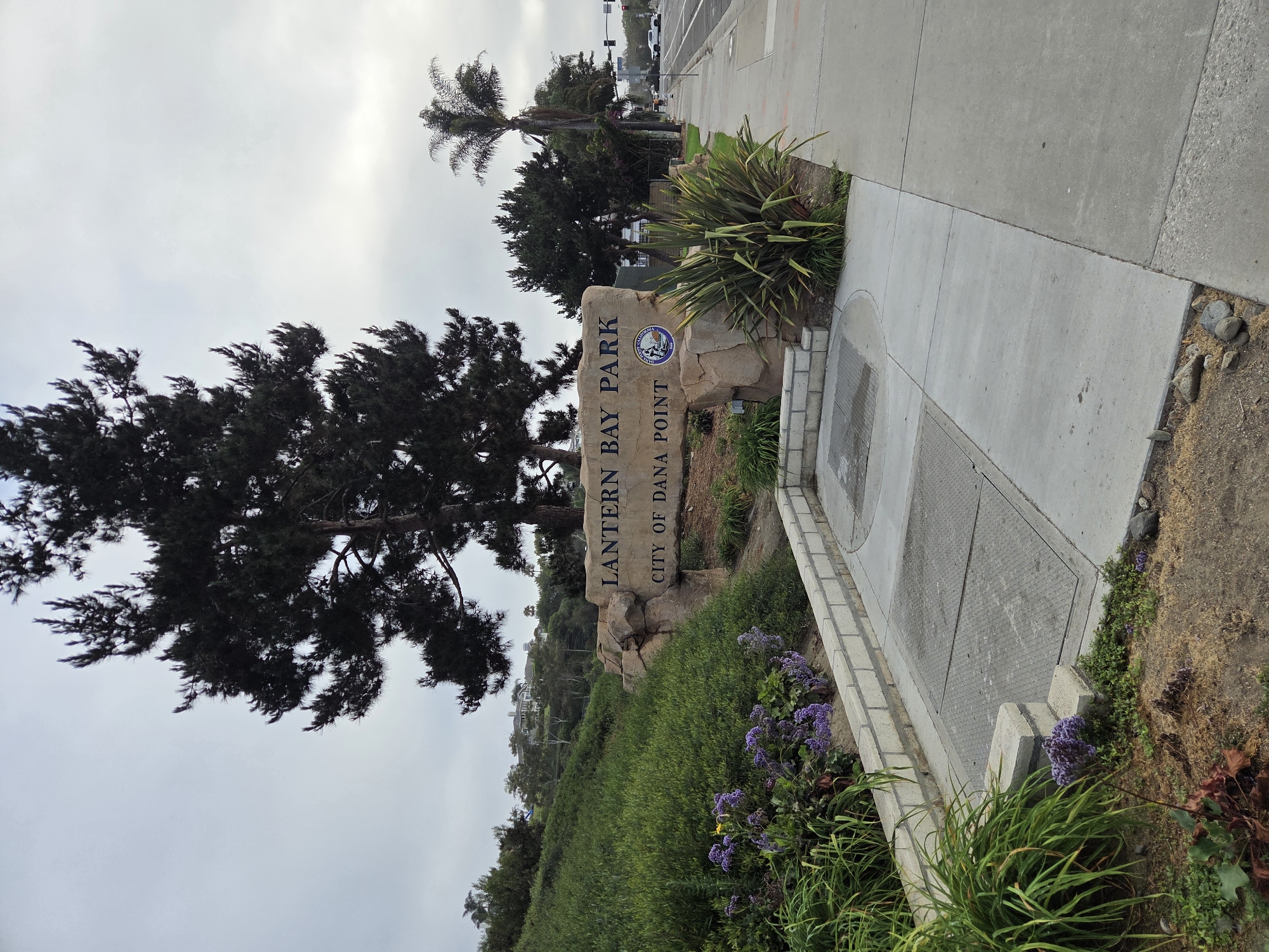 The image shows the entrance sign for Lantern Bay Park in Dana Point, California, USA. The sign, made of stone, reads "LANTERN BAY PARK" and "CITY OF DANA POINT". A circular emblem with a lighthouse and the text "DANA POINT CALIFORNIA 1989" is to the right of the park name. The sign is situated on a landscaped hillside with lush green vegetation and purple flowers in the foreground. To the right of the sign is a sidewalk and a street with traffic, indicating an urban or semi-urban environment. Tall evergreen trees and palm trees are visible, along with buildings in the background on the hillside. The sky is overcast.