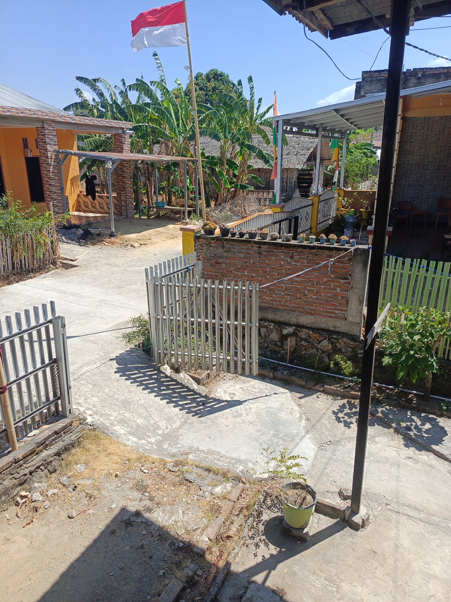 In Arateng, Indonesia, a clear, sunny day is depicted. The scene captures a residential area with multiple structures and outdoor spaces. In the foreground, a gray metal gate stands open, leading onto a paved pathway. To the right of the path, a brick wall with stone accents forms a boundary, topped with numerous potted cacti and small plants. A tall black pole stands near this wall. Further into the scene, a red and white Indonesian flag flies from a bamboo pole. Several banana trees with large green leaves are visible behind the flag and adjacent structures. A yellow house with decorative tile accents and a covered porch is to the left. In the background, a building with a corrugated metal roof and brick walls is present, with another structure partially visible to its right. The ground is a mix of concrete pavement, dirt, and dry grass. The overall impression is of a simple, rural dwelling.