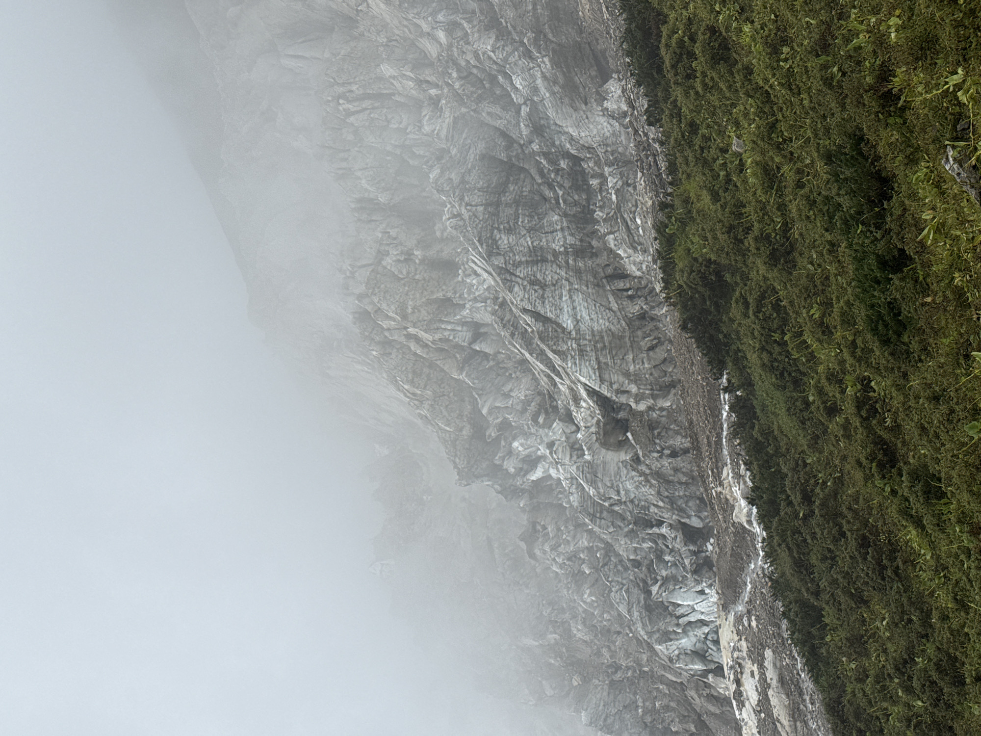 The image shows a rugged, mountainous landscape shrouded in thick fog. In the foreground, a dense carpet of dark green vegetation covers a steep slope. Above the vegetation, a massive, fractured rock face rises, its surface characterized by deep fissures and layered striations. The rock appears to be composed of a light-colored, possibly glacial material, with patches of white ice visible in some of the crevices. The upper reaches of the rock face are obscured by heavy mist, giving the scene an ethereal and somewhat foreboding atmosphere. No people or man-made structures are visible. The scene depicts a natural, untamed environment within the mountainous region of Samagaon, Nepal.