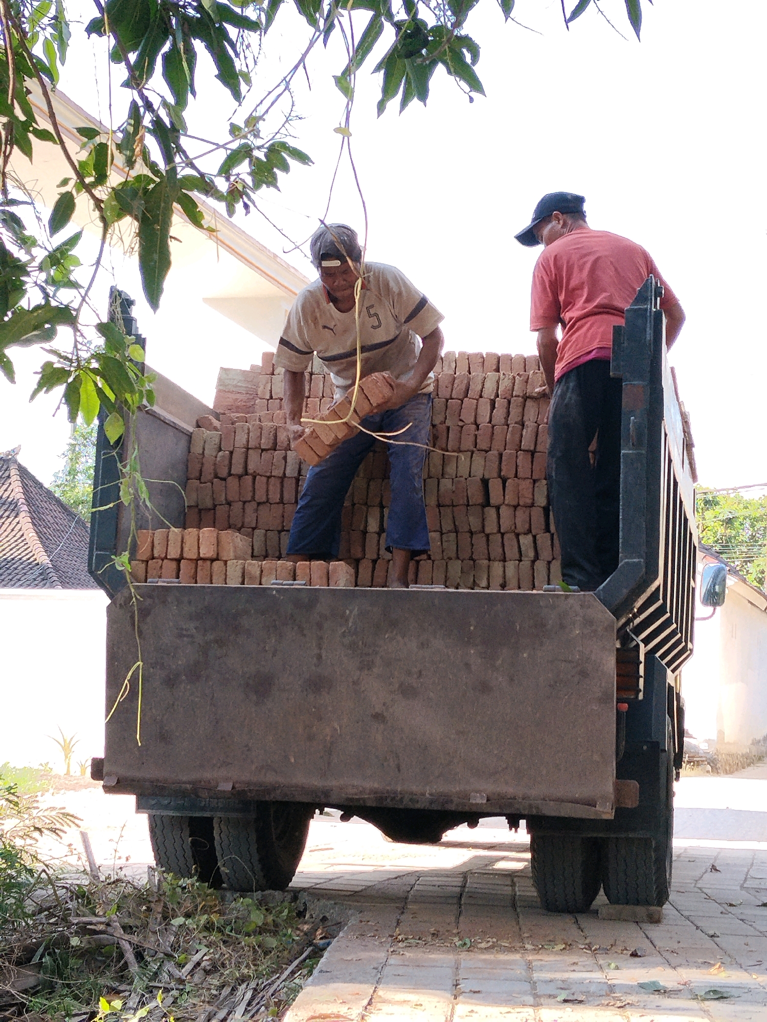 Two individuals are in the back of a truck filled with bricks. One person, wearing a light-colored shirt with dark stripes and a cap, is holding a stack of bricks. The other person, wearing a red shirt and a dark cap, is standing behind him. The truck's bed is filled with a large quantity of bricks stacked in neat rows. The scene appears to be outdoors, with sunlight illuminating the area. Trees with green leaves hang over the truck from above. In the background, a building with a tiled roof is visible. The truck is parked on a paved surface. The image captures a moment of manual labor, likely involving the loading or unloading of building materials. The location is identified as Prabu, Indonesia.