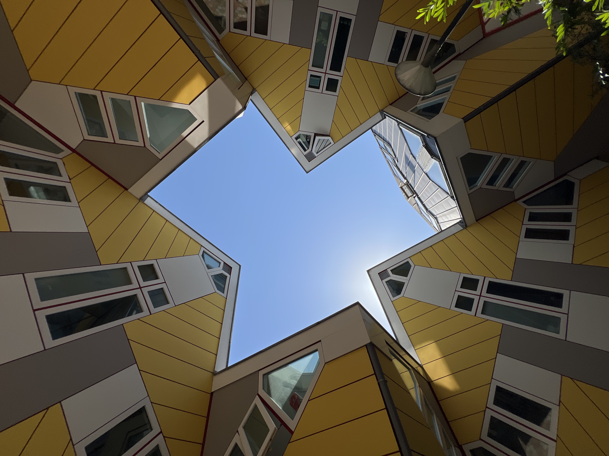 The image captures a low-angle view of the Cube Houses in Rotterdam, Netherlands, showcasing their distinctive architectural design. The bright yellow and grey facades of the tilted cubic structures are angled towards a clear blue sky, creating a star-like opening in the center. Numerous windows of various shapes and sizes are visible on the intersecting cubes. A sleek, modern lamp post stands to the right, with green foliage peeking into the frame from the bottom right corner. The sun is visible as a bright glint near the horizon, casting subtle shadows.