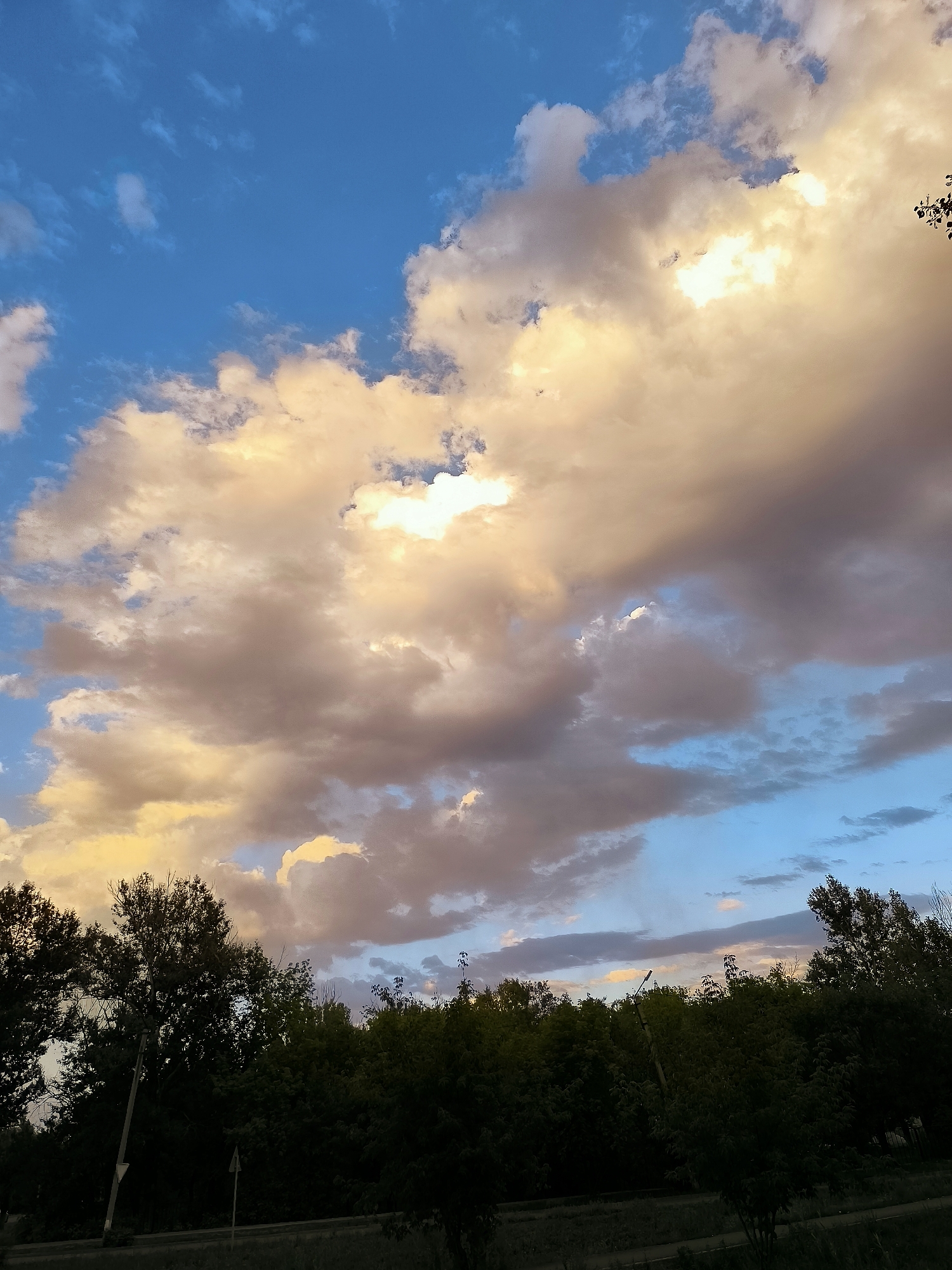 The image depicts a cloudy sky above a line of trees in Qarağandı city administration, Kazakhstan. The clouds are a mix of white and yellow, illuminated by what appears to be the setting sun. Patches of blue sky are visible between the clouds. The trees are dark green and form a dense canopy across the bottom of the frame. A dark road or path runs along the base of the trees. There are no people or specific objects that stand out within the scene, beyond the natural elements of sky and vegetation. The lighting suggests it is either early morning or late afternoon.