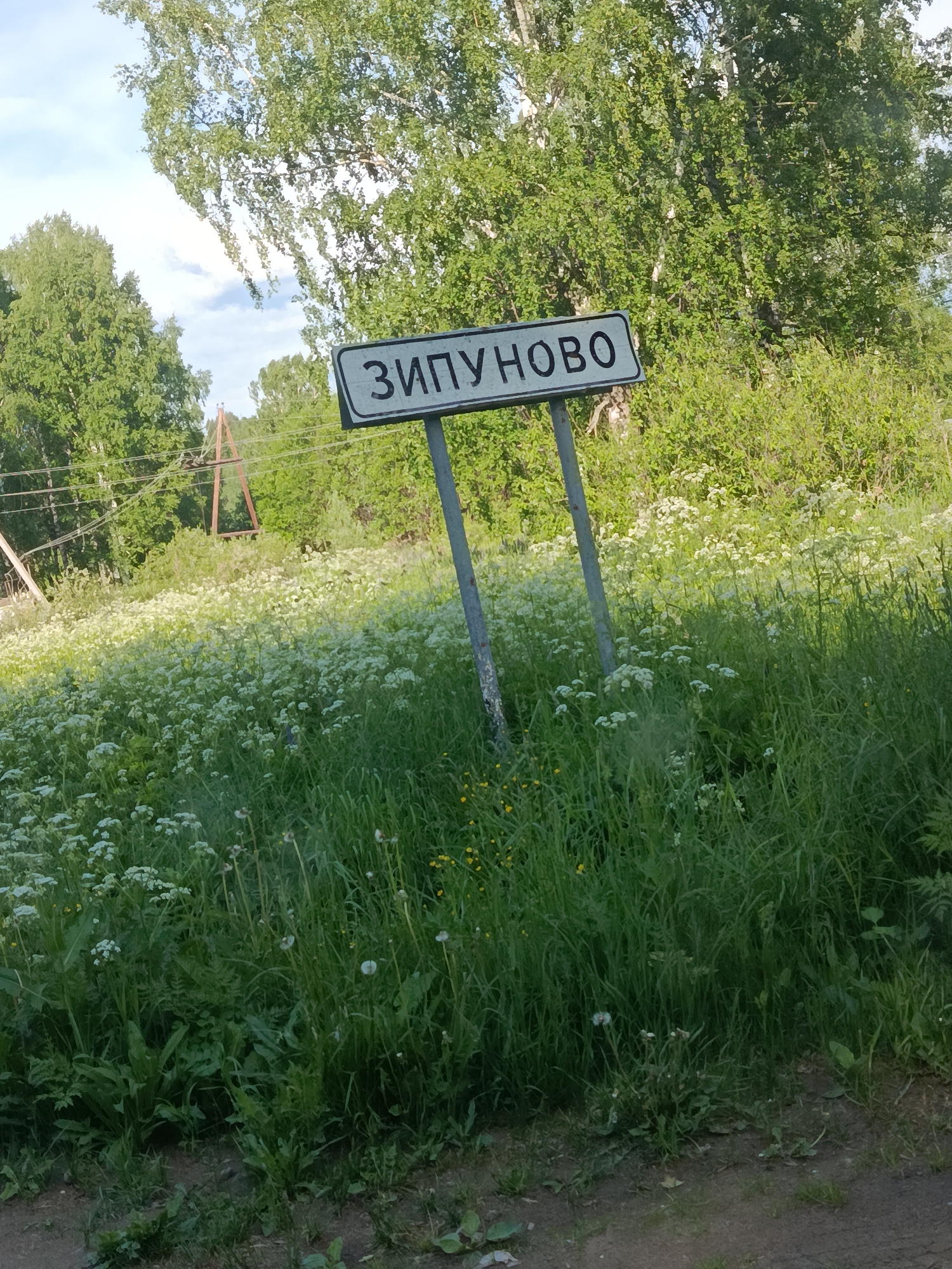 The image displays a rural landscape, primarily characterized by lush green vegetation and a prominent road sign. The central subject is a white rectangular sign with a black border, bearing the Cyrillic text "ЗИПУНОВО" (Zipunovo) in black capital letters. This sign is mounted on two metallic posts, positioned slightly off-center to the right.
The foreground is dominated by overgrown green grass and numerous small white wildflowers, giving the impression of a natural, untended area. Beyond the sign, dense green trees, including what appear to be birch trees with their light-colored bark, form a verdant backdrop. The sky above is bright with scattered white clouds, indicating a clear, sunny daytime. In the mid-ground on the left, power lines are visible, supported by a simple, angular wooden or metal structure, hinting at nearby infrastructure. A small strip of dirt path or road is visible at the bottom of the frame.
The scene depicts a peaceful, natural setting, likely marking the entrance or exit to the settlement of Zipunovo in Russia. There is no discernible human activity or event taking place; the image is a static capture of the landscape.