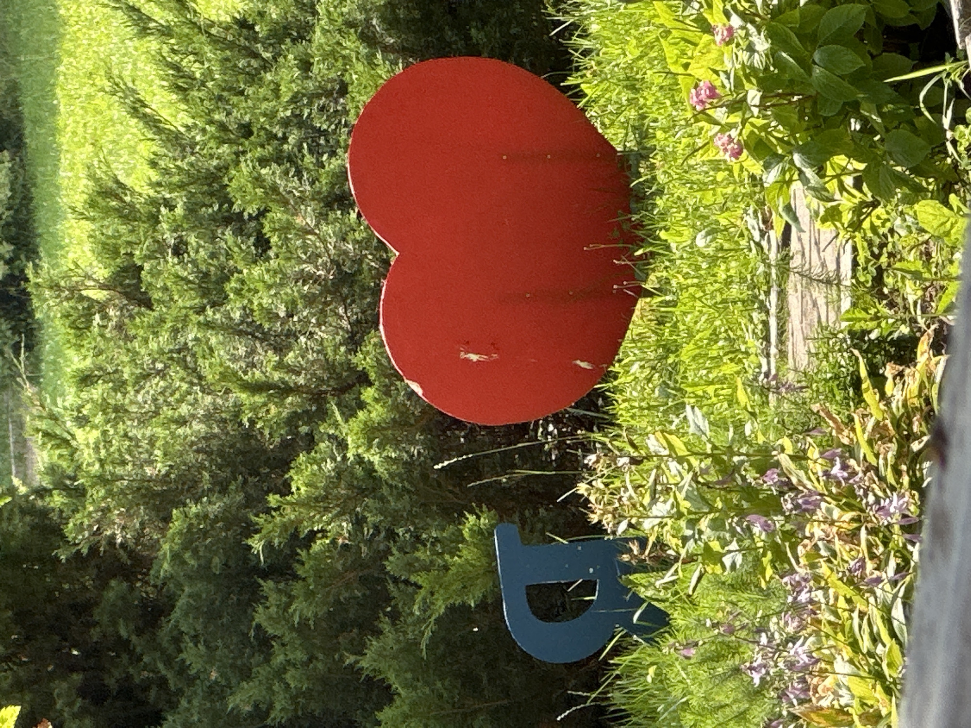 The image depicts an outdoor scene with lush green foliage and a paved pathway. In the foreground, a large, bright red heart-shaped object is prominent, standing upright in the grass. To the left of the heart, a blue letter "R" is visible, also standing in the grass. In front of the heart and to the left, a cluster of small purple flowers with green stems and leaves is growing. Behind these elements, dense green bushes and trees form a natural backdrop. A bright green lawn stretches across the upper right portion of the image. The lighting suggests a sunny day. The image does not contain any people or show any specific actions or interactions. The scene appears to be located in a park or garden area, possibly within the city of Minsk, Belarus, given the context.