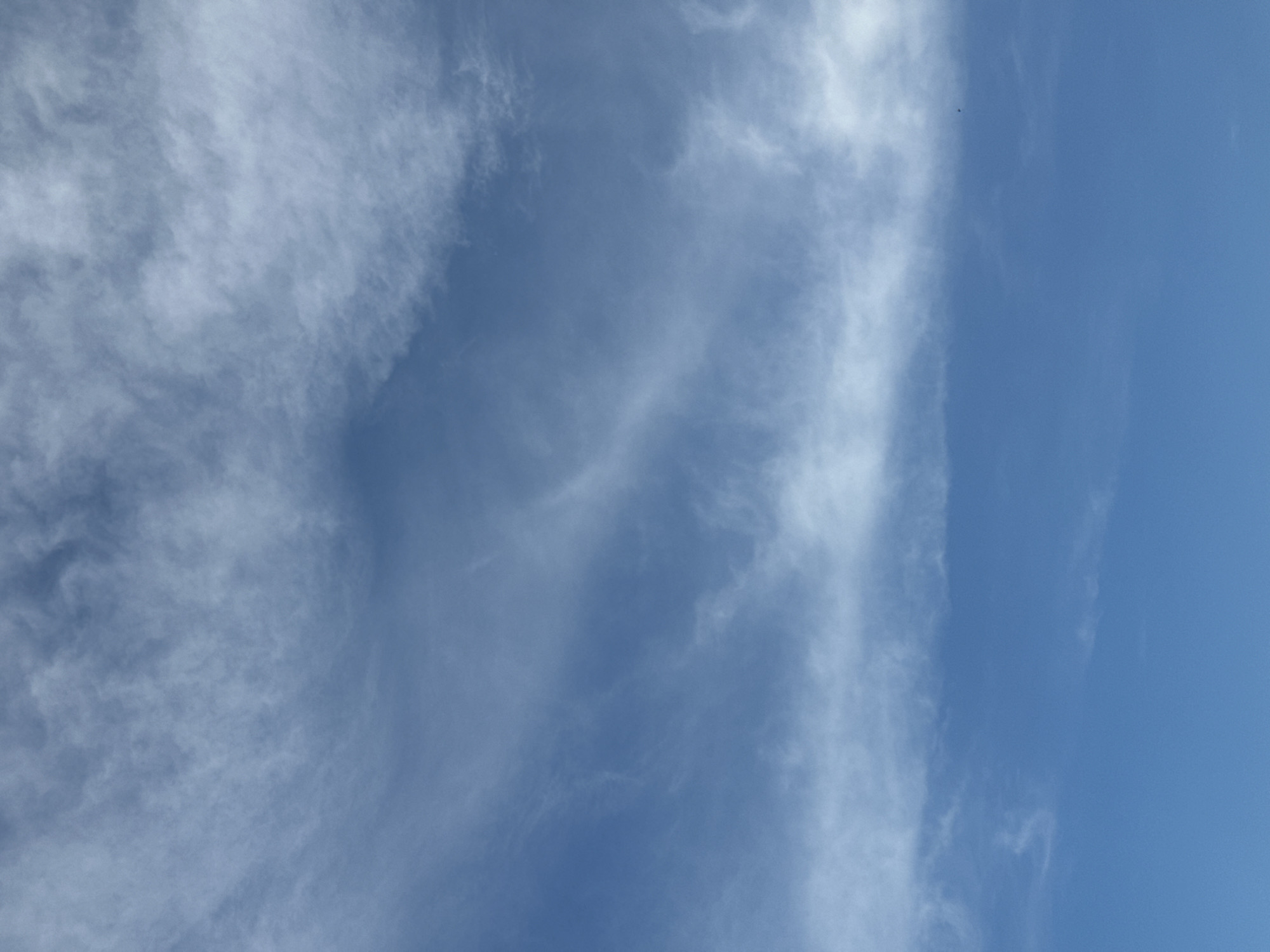 This vertical image displays a clear blue sky adorned with high-altitude, wispy white clouds, characteristic of cirrus formations. On the left side of the frame, the clouds are denser and more diffused, creating a soft, textured appearance. Moving towards the right, the cloud cover diminishes, presenting as delicate, elongated streaks and fragmented patches against the deep blue backdrop. The upper right section of the sky is largely unobstructed, revealing a brilliant blue expanse. A minuscule dark speck, likely a distant bird or insect, is barely discernible in the upper right quadrant of the image. The scene conveys a sense of fair, bright weather during the daytime. No people, prominent objects, or text are visible in the image. The location is Chaikovsky, Russia.