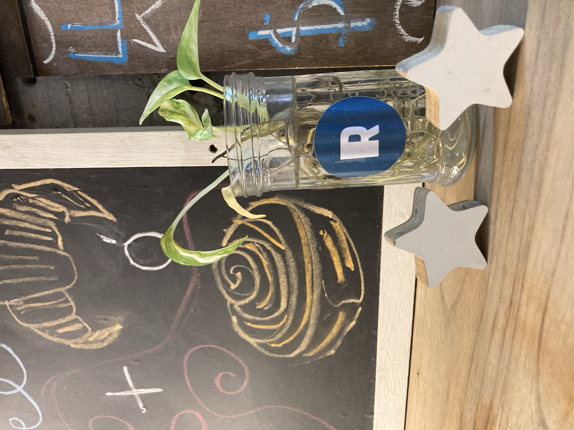 A high-angle, close-up shot depicts a chalkboard with a white frame, next to a wooden surface. Chalk drawings on the chalkboard include a croissant, a spiral, and a plus sign, along with red and white swirls. A glass jar with a blue label containing the letter "R" sits on top of the chalkboard. Plant cuttings are inside the jar, with the leaves visible outside the jar. Two white, three-dimensional star decorations are situated on the edge of the chalkboard. Above the chalkboard are sections of a brown wooden surface with blue and white chalk markings.