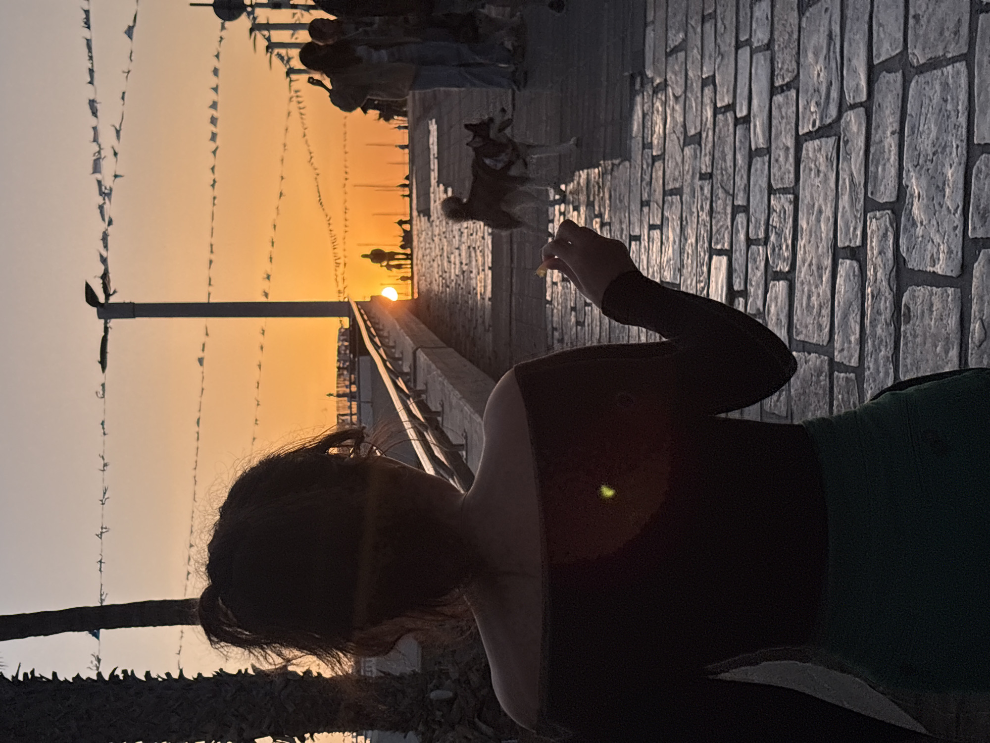 The image captures a partial view of a person, primarily their silhouette, against the backdrop of a sunset along what appears to be a promenade or walkway. The scene is suggestive of a location in Tel-Aviv, Israel, as indicated by the presence of similar architectural elements, coastal promenades, and the common sighting of dogs in public spaces.
Environment: The background features a vibrant orange sunset. Along the promenade, there are other individuals visible as silhouettes in the distance, as well as two dogs. The ground is paved with rectangular stone blocks. Small flags line the horizon, stretched between poles, adding to the festive ambiance.
People and Actions: A person, predominantly in silhouette, is partially visible in the foreground. A hand extends outward, as if offering something. The overall setting suggests a moment of relaxation or observation during sunset.