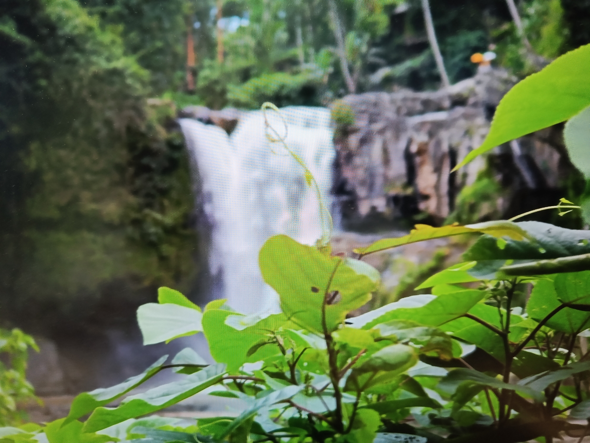 The image depicts a lush, green natural environment with a waterfall in the background. In the foreground, out-of-focus green leaves and branches dominate the frame. The waterfall is partially visible, cascading down rocky cliffs. The surrounding area is densely vegetated, with trees and foliage creating a tropical or subtropical atmosphere. There are no people or man-made structures clearly visible in the image, with the exception of a blurred orange object on a ledge in the far background, which might be a piece of clothing or equipment. The scene appears to be a natural landscape, likely a park or a wilderness area, and there is no indication that this location is in Tashkent, Uzbekistan.