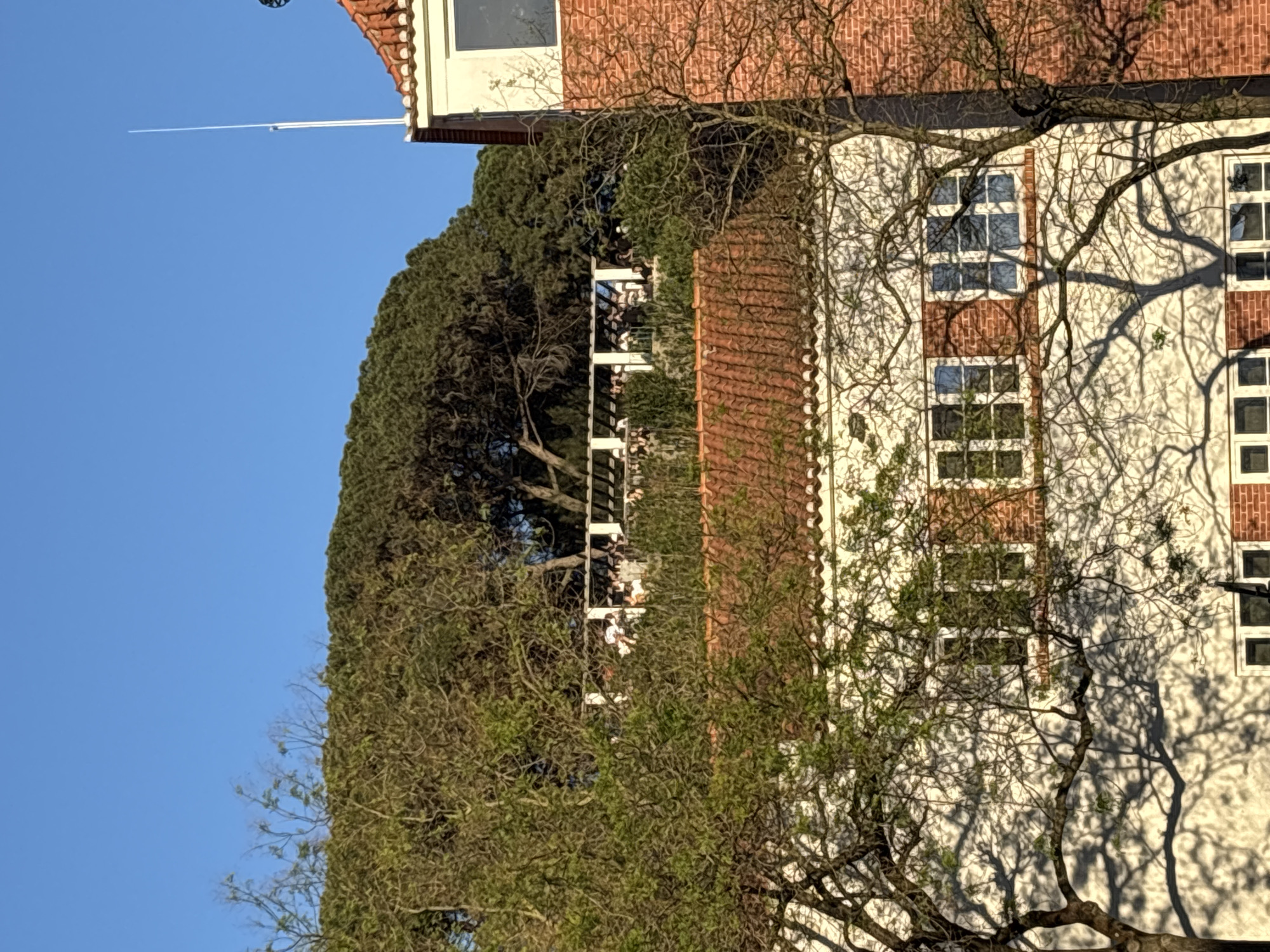 The image depicts a building with white walls and red brick sections, possibly a residential or institutional structure, with multiple windows aligned vertically. The building has a red tiled roof and a lightning rod is attached to the roof. A tall, dense tree lines the left side of the frame. A second bare tree casts intricate shadows on the building's facade. A partial view of a balcony with people is visible behind the trees. The sky is clear and blue. This image likely shows a building in Lisbon, Portugal.