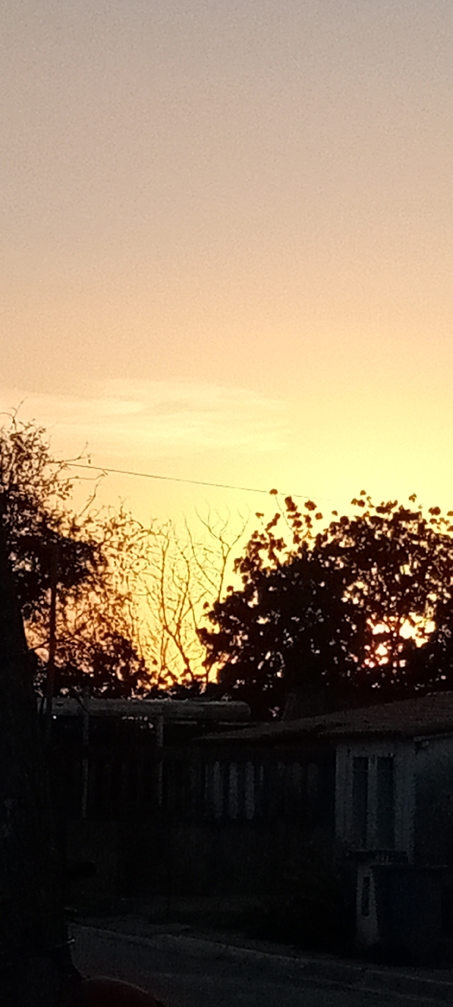 The image depicts a silhouetted urban scene at dusk. The sky transitions from pale orange at the top to a brighter yellow near the horizon. Dark silhouettes of trees frame the upper portion of the image, obscuring the setting sun. Below the trees are buildings. The lighting is dim, reducing details in the lower half of the frame. A power line stretches across the scene.