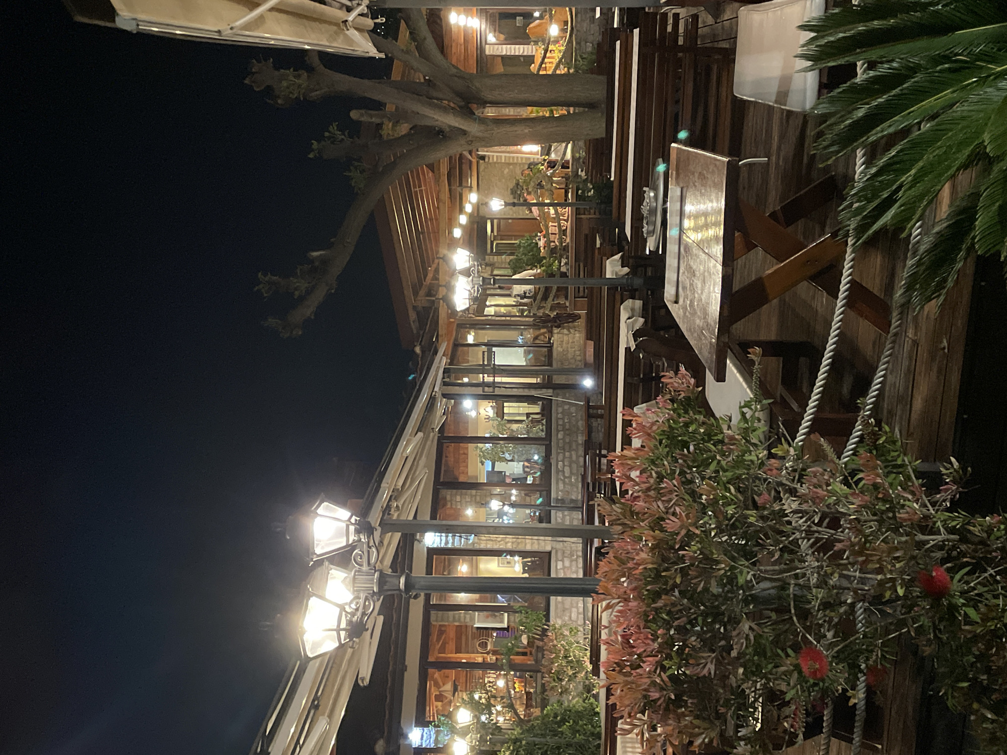This is a nighttime photograph depicting an outdoor dining area of a restaurant or cafe, illuminated by artificial lights. The sky is dark, indicating late evening or night.
On the left side of the frame, there is a building with large glass windows, through which the warmly lit interior of the restaurant is visible, and several blurry figures of people can be seen dining or socializing. In front of this building, a series of ornate street lamps with multiple glowing bulbs cast light onto the scene. A prominent tree with thick, gnarled branches extends across the upper half of the image.
To the right, there is an outdoor seating area furnished with wooden tables and chairs. Ropes are used as part of a railing or decorative element in this section. Lush vegetation frames the scene, including a large green palm frond in the upper right corner and a bush with reddish-green foliage and distinctive red, brush-like flowers (possibly Callistemon) in the lower right.
The overall ambiance is cozy and inviting, suggesting a pleasant evening atmosphere. No discernible text is visible in the image. The elements like the outdoor dining, palm, and flowering bush are consistent with a location in a warm climate, such as Budva, Montenegro.