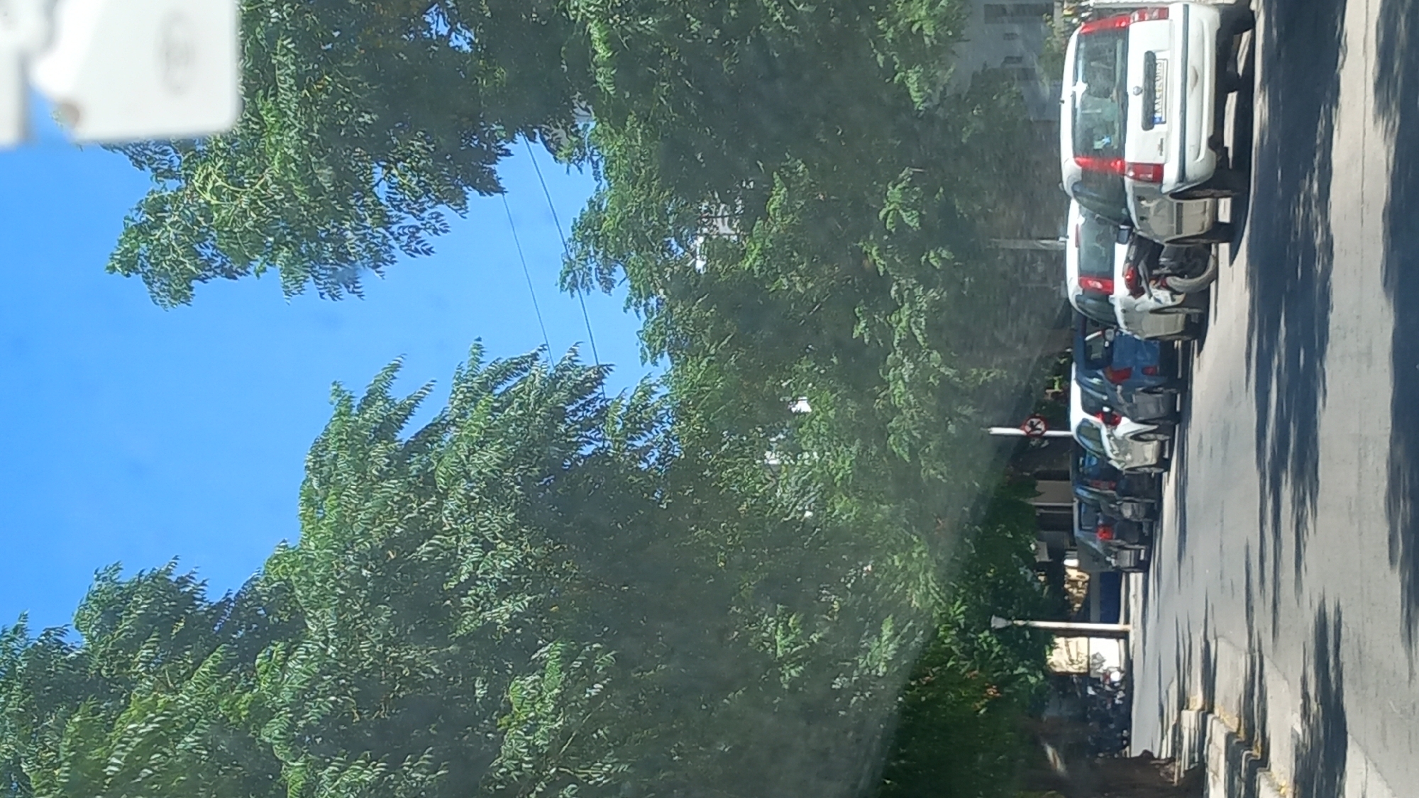 This is a vertical, medium-shot, exterior photograph of a street in the city of Kos, Greece, on a clear, sunny day. The perspective appears to be from inside a vehicle.
The foreground features a paved street lined with parked cars. From right to left, the cars are: a white Fiat Panda with a visible license plate, a black motorcycle, a white hatchback, a blue hatchback, a white hatchback, a dark colored hatchback, and another dark colored hatchback. The street is shaded by trees, casting shadows on the asphalt. A sidewalk with a curb is visible on the left side of the street, and further left, there are parked motorcycles and a lamppost.
The midground is dominated by lush green trees with dense foliage that line the street on both sides, creating a canopy effect. A traffic signal with a red and white sign is partially visible between the trees.
The background shows a clear blue sky with a few wispy clouds. Buildings are faintly visible through the trees in the distance. The overall impression is a peaceful, tree-lined street in a Mediterranean city.