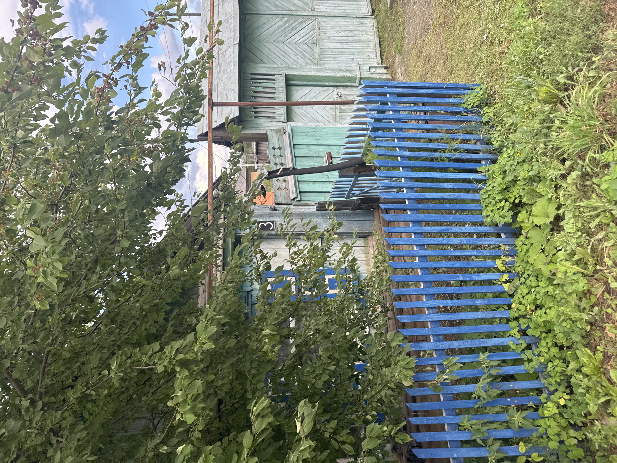A wooden house with a blue and green facade is partially obscured by a large, leafy tree in the foreground. A bright blue wooden fence runs across the lower part of the image, in front of the house and tree. The house has wooden planks for siding and a light-colored roof. There is a number '3' visible on the side of the house. To the right of the house, a light green wooden structure with a peaked roof and diagonal planking appears to be a garage or shed. The environment is rural or semi-rural, with green grass and weeds growing around the fence and in front of the structures. The sky above is partly cloudy.