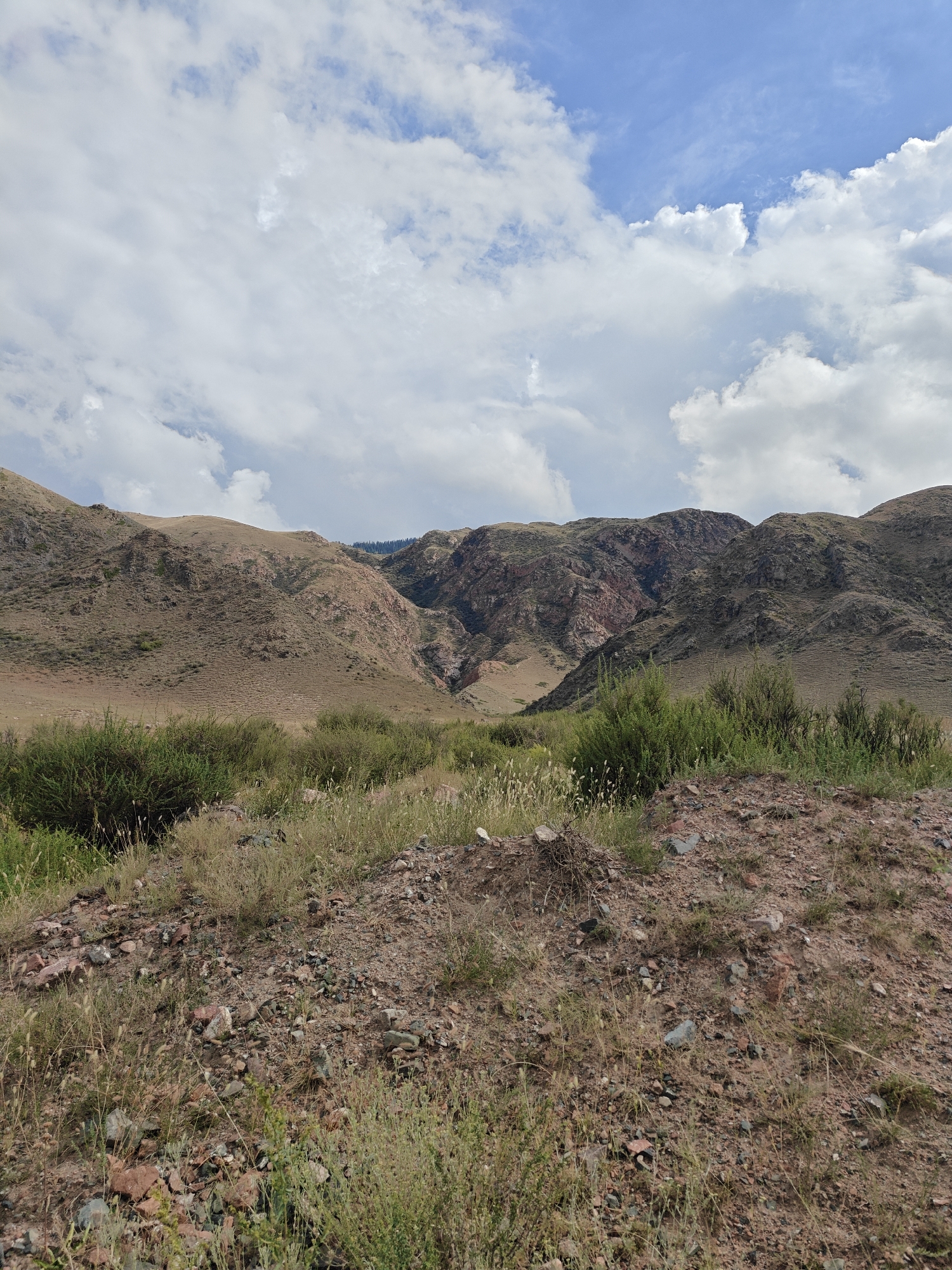 A medium shot photograph captures a vast, arid mountain landscape under a partially cloudy sky. The foreground is dominated by a barren, reddish-brown dirt path littered with rocks and sparse, dry grass. Beyond this, the midground features rolling, grassy hills dotted with dense, green bushes. In the background, the mountains rise sharply, revealing rugged, rocky slopes with streaks of red and exposed rock faces. The sky is a mix of bright blue patches and fluffy white clouds, with some appearing wispy and others more substantial. The scene depicts a natural, undeveloped environment, likely in a remote area, and shows no signs of human activity or presence. The location is identified as Kadji Say, Kyrgyzstan.
