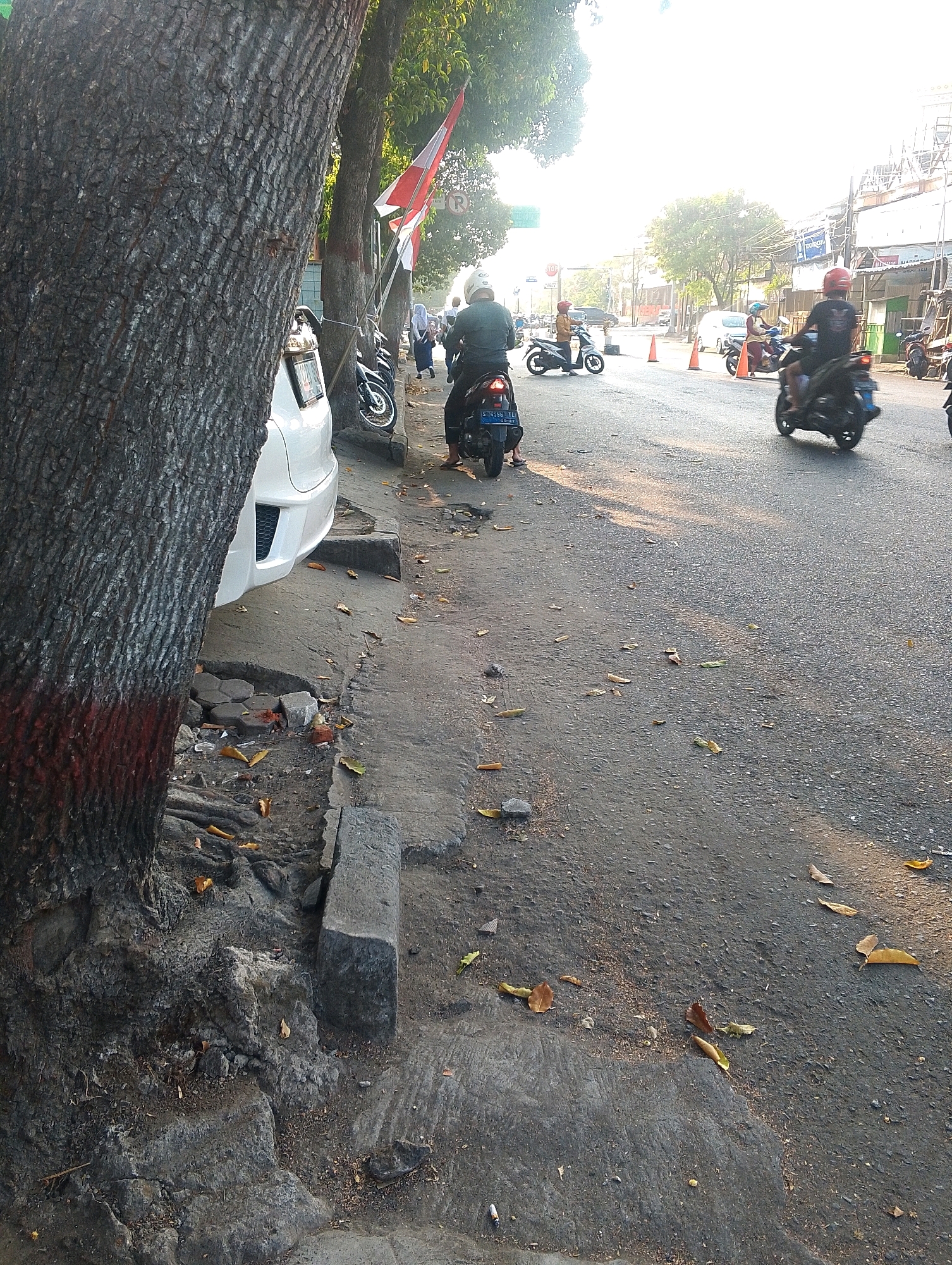In the city of Unknown, Unknown, a street scene unfolds under the warm glow of the sun. A large tree with rough, textured bark stands prominently on the left, its base marked with red paint. Beside it, a white car is parked, partially obscuring the sidewalk. The sidewalk itself is in disrepair, with broken concrete and scattered debris.
Several people are on motorcycles, navigating the asphalt road. One person in a black shirt and white helmet is riding a black motorcycle, and another with a red helmet is visible behind. Further down the road, more motorcycles and riders are seen, some moving in the same direction. The road is lined with trees, and flags, possibly national flags, are displayed on poles. Buildings with awnings and signage line the street in the background. The ground is littered with fallen leaves, indicating an autumn setting or a street with mature trees. The overall impression is that of a moderately busy urban street with a mix of parked vehicles, moving traffic, and pedestrian infrastructure.