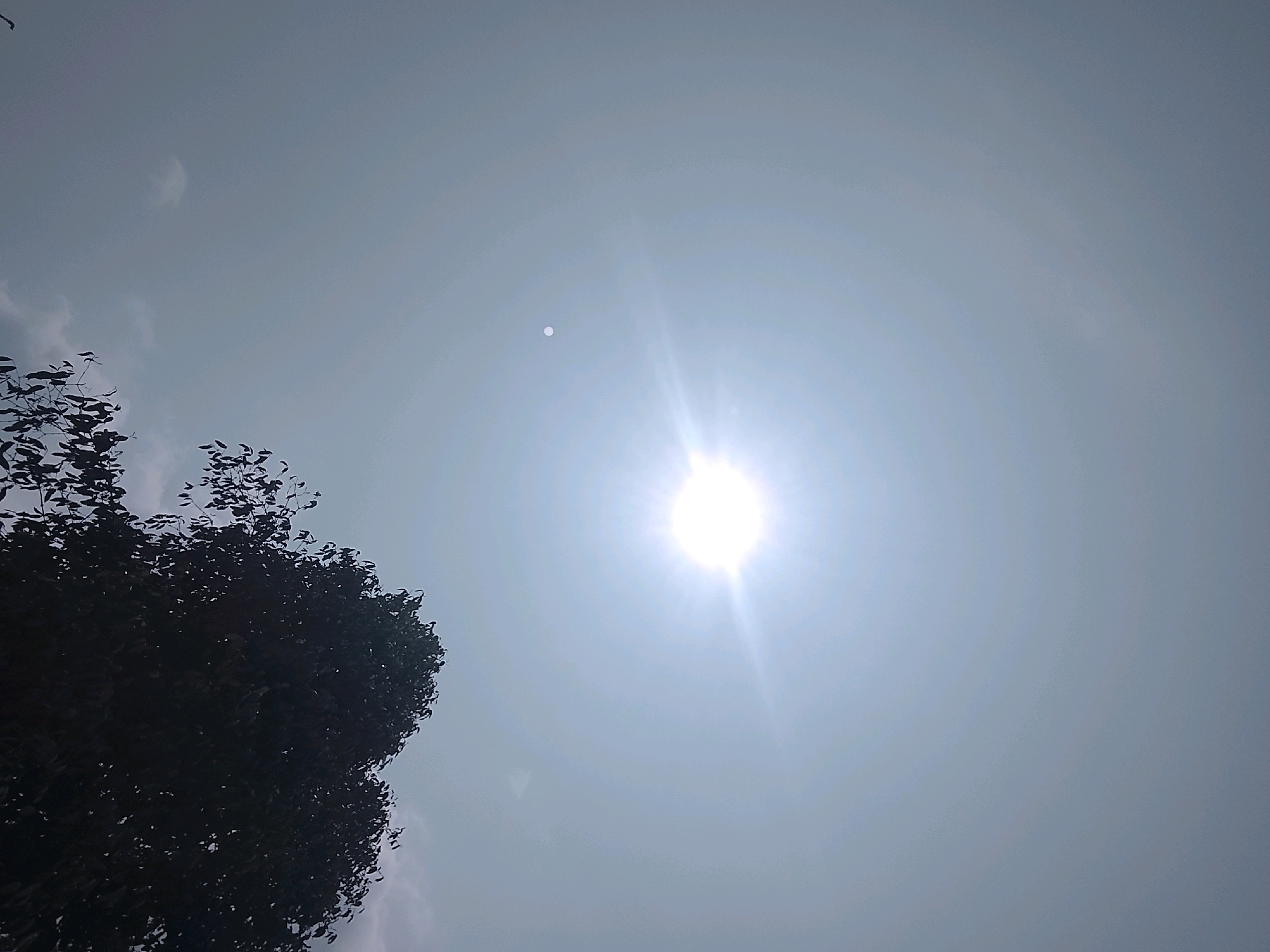 This is a low-angle, outdoor photograph captured on a bright, sunny day in Slawi, Indonesia. The sky dominates the frame, filled with a pale blue hue and appearing slightly hazy due to the intense sunlight. The sun itself is prominently featured in the upper right quadrant of the image, shining intensely with visible rays extending outward, creating a lens flare effect. A small, circular white object, possibly a very distant plane or a cloud artifact, is visible slightly above and to the left of the sun. In the lower left portion of the image, a large, dark silhouette of a tree with dense foliage is present. The tree is largely underexposed against the bright sky, with its branches and leaves appearing as a dark mass. No people are visible in the photograph.