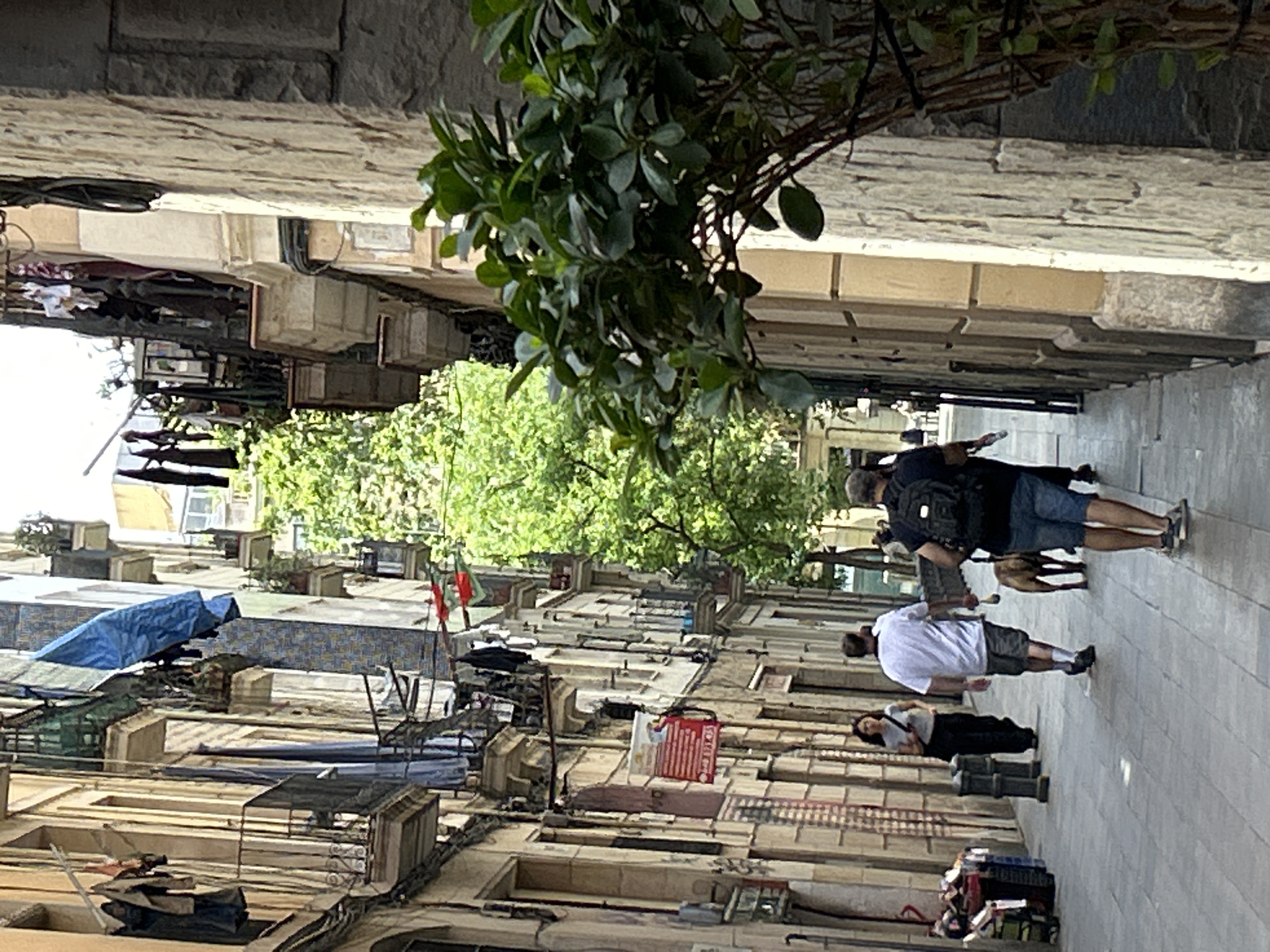 The image depicts a narrow street in Barcelona, Spain, likely in the Gothic Quarter or El Born, given the architecture. The street is paved with cobblestones and lined with tall, old buildings characterized by their stone facades, balconies with wrought-iron railings, and numerous clotheslines strung with laundry. Sunlight filters down, creating a dappled effect on the pavement.
In the foreground, a woman with dark hair is walking away from the camera, wearing a grey t-shirt and dark pants. A man in a white t-shirt and grey shorts walks ahead of her, also moving away. He is holding a leash attached to a medium-sized brown dog walking alongside him. Further ahead, another man is walking away from the camera, wearing a black t-shirt, blue shorts, and a backpack.
The buildings on either side of the street are multi-story structures with visible windows, some with shutters. Laundry is prominently displayed, hanging from balconies and lines stretched across the street, adding to the lived-in feel of the urban environment. Lush green trees are visible in the distance, peeking out from between the buildings, suggesting the presence of hidden courtyards or a larger green space. A potted plant with dark green leaves is positioned in the right foreground, partially obscuring the view of the building wall. The overall impression is of a vibrant, sun-drenched street scene in an older European city.