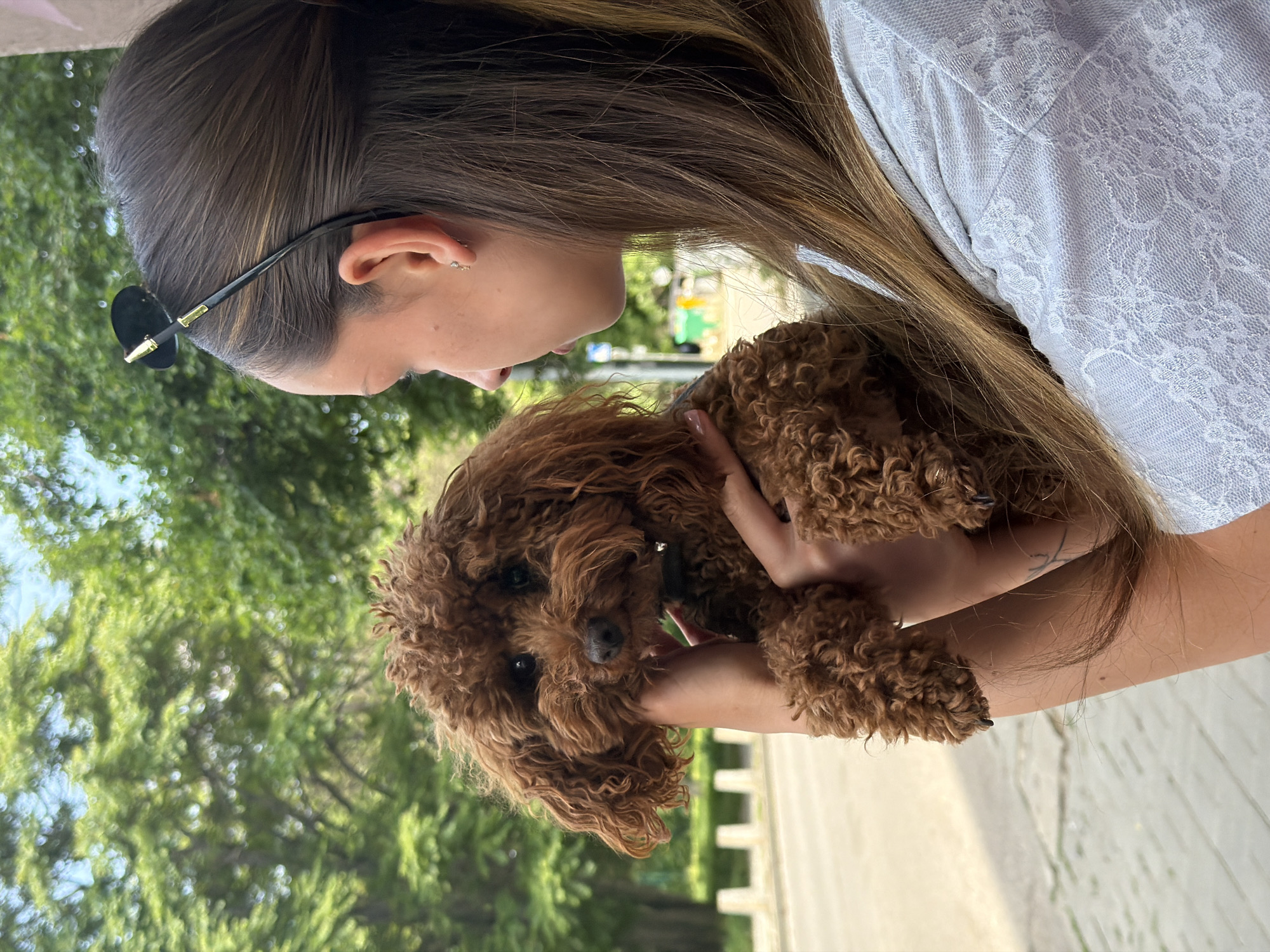 The image depicts a young adult female holding a small, reddish-brown, curly-haired dog outdoors. The female, positioned on the right of the frame and captured in left profile, is looking downwards towards the dog. She has long brown hair, partially pulled back, with dark sunglasses featuring gold-toned accents resting on top of her head. A small stud earring is visible in her left ear. She is wearing a light-colored top with a discernible lace or textured floral pattern. Her hands are positioned beneath the dog, providing support. The dog, a Poodle-type breed, is facing the viewer with dark eyes and nose, and is wearing a thin dark collar. The background features a blurred outdoor environment characterized by dense green tree foliage, suggestive of a park-like area or a heavily vegetated street. A paved surface is partially visible in the lower left quadrant. The image contains no specific architectural, geographical, or cultural markers to definitively identify its location as the city of Sofia, Bulgaria.