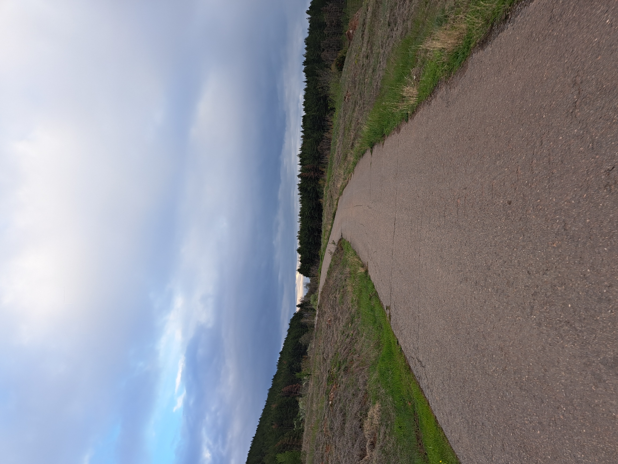 The image displays a tranquil outdoor landscape, likely a rural or park setting in Lokorsko, Bulgaria. A dark gray asphalt path, possibly a walking or cycling trail, dominates the lower and middle ground, curving gently from the lower left foreground towards the right side of the frame in the distance. The path appears well-maintained but shows some minor cracks.
On either side of the path, there are strips of green grass, which then transition into areas of drier, brownish vegetation, suggesting a mix of lush and parched ground. To the left of the path, a dense, dark green forest of evergreen trees stretches across the mid-ground, forming a solid line against the sky. The trees are tall and closely packed, creating a deep natural boundary.
The upper portion of the image is filled with an expansive, overcast sky. Predominantly light gray and white with varying cloud formations, the sky shows hints of a brighter, bluer hue peeking through the clouds, especially towards the upper right, suggesting diffused daylight.
No people or animals are visible, and no specific activity is taking place, contributing to a sense of peaceful solitude. There is no visible text. The scene conveys a quiet, natural environment, possibly captured on an overcast day, emphasizing the simple beauty of the path winding through the landscape beside the dense forest.