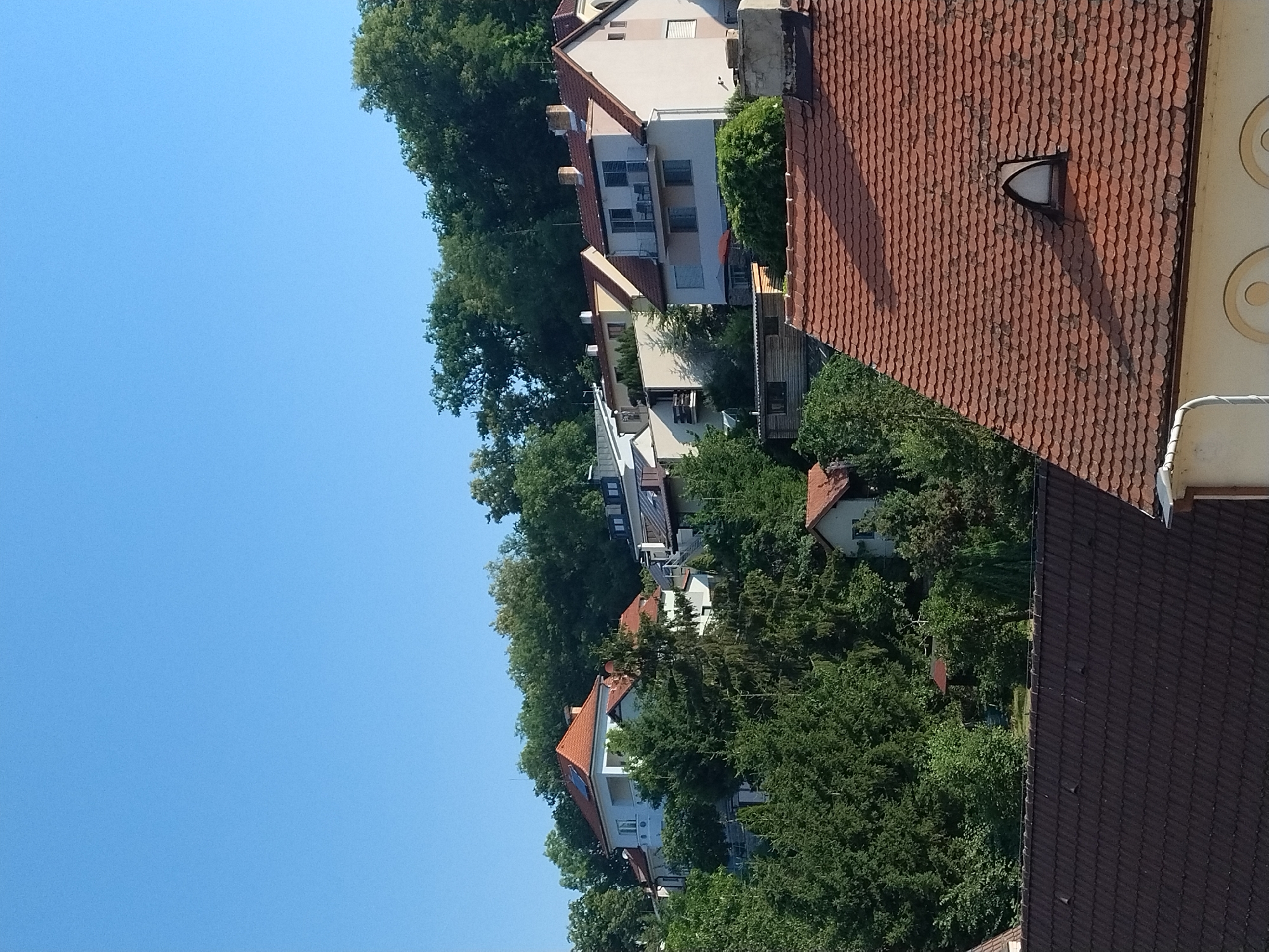 The image shows a view of houses nestled on a hillside in Hluboká nad Vltavou, Czechia. The scene is dominated by lush green trees that surround and partially obscure several buildings. In the foreground, a dark-tiled roof occupies the lower portion of the frame. Above this, a lighter-colored roof with red tiles features a distinctive arched window. Further up the hillside, a white house with a red-tiled roof and balconies is visible, interspersed with more evergreen trees. The background consists of a dense line of trees forming the top of the hill, against a clear blue sky. There are no people or visible animals in the image. The architecture suggests a residential area with varying building styles.